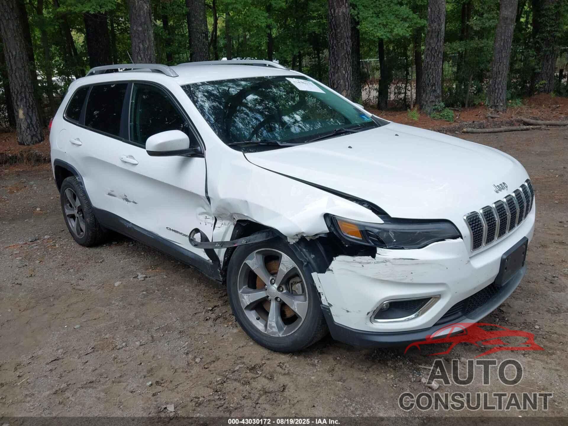JEEP CHEROKEE 2020 - 1C4PJLDBXLD560758