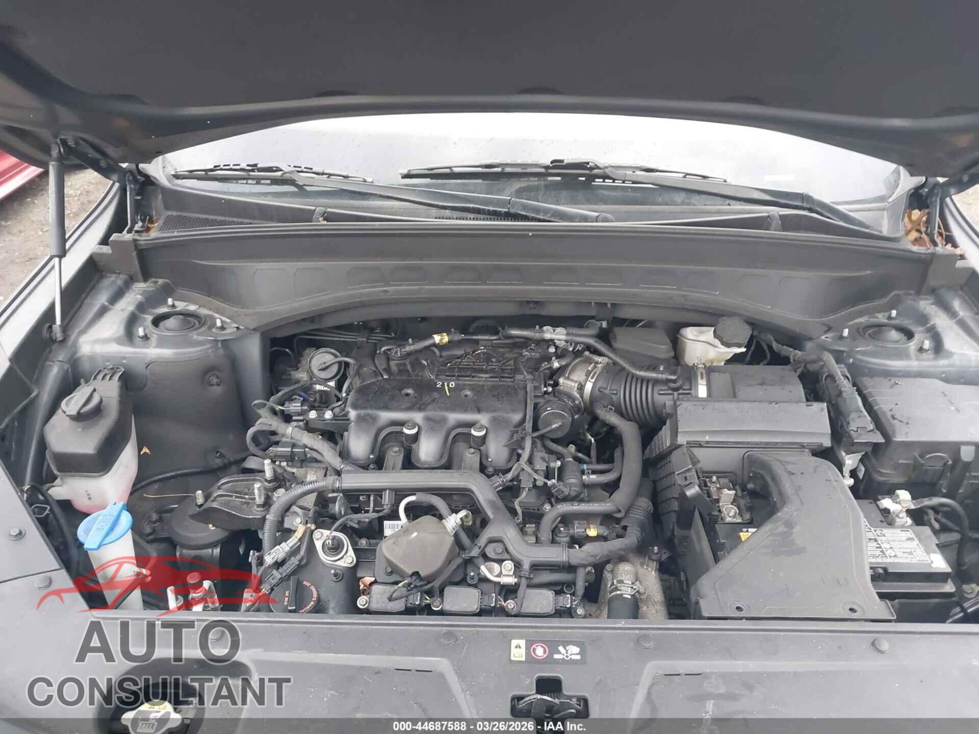 KIA TELLURIDE 2022 - 5XYP3DHC8NG216983