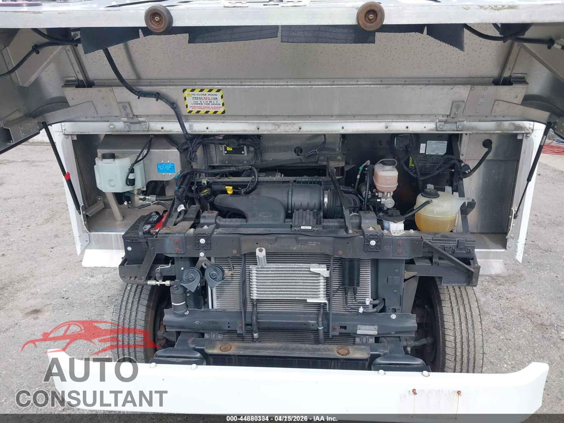 FORD E-350 STRIPPED 2016 - 1FC3E3KL5GDC18008