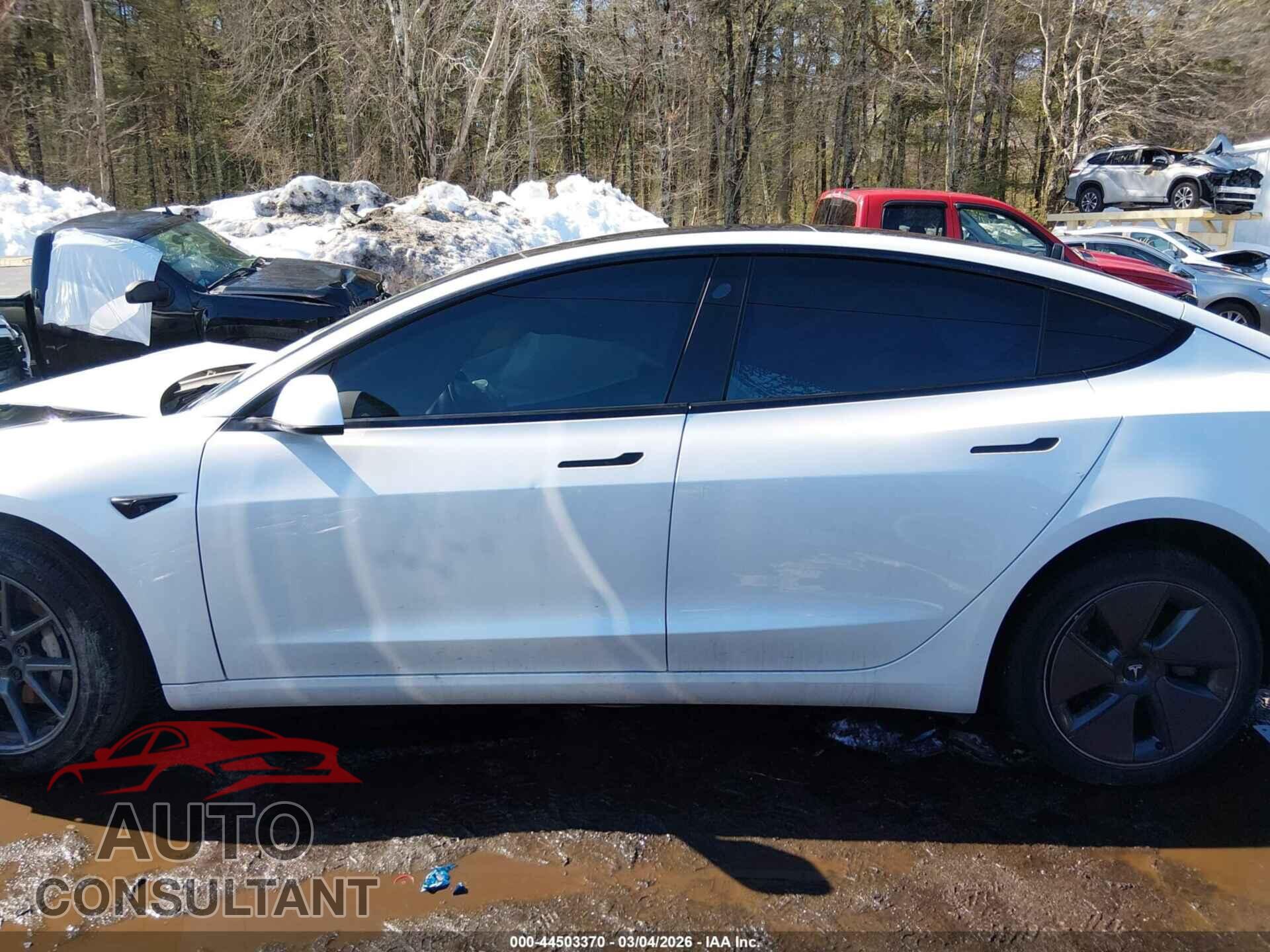 TESLA MODEL 3 2021 - 5YJ3E1EA9MF061375