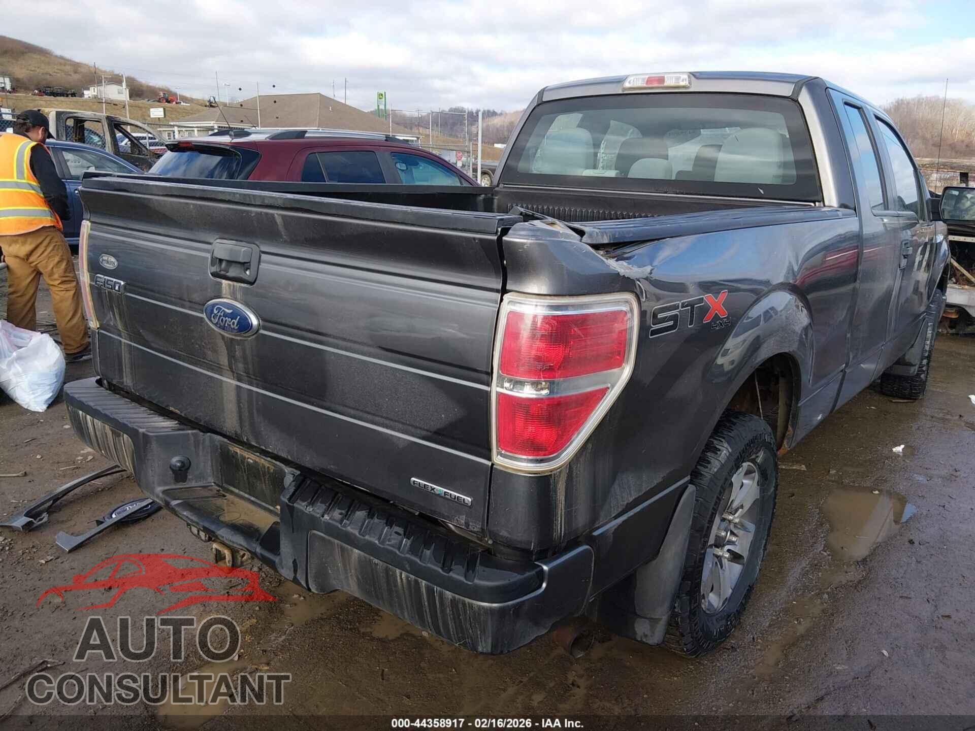 FORD F-150 2013 - 1FTFX1EF7DFD79459