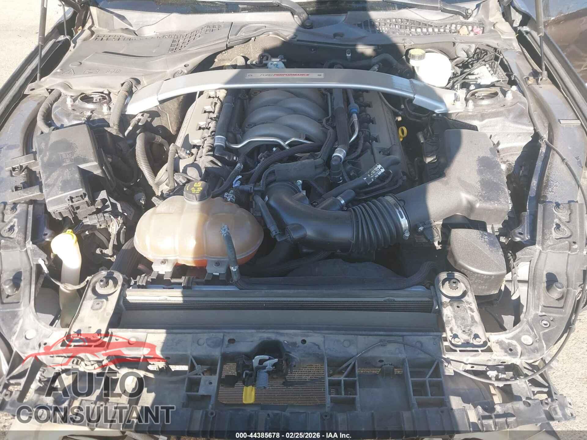 FORD MUSTANG 2017 - 1FA6P8CF8H5319655
