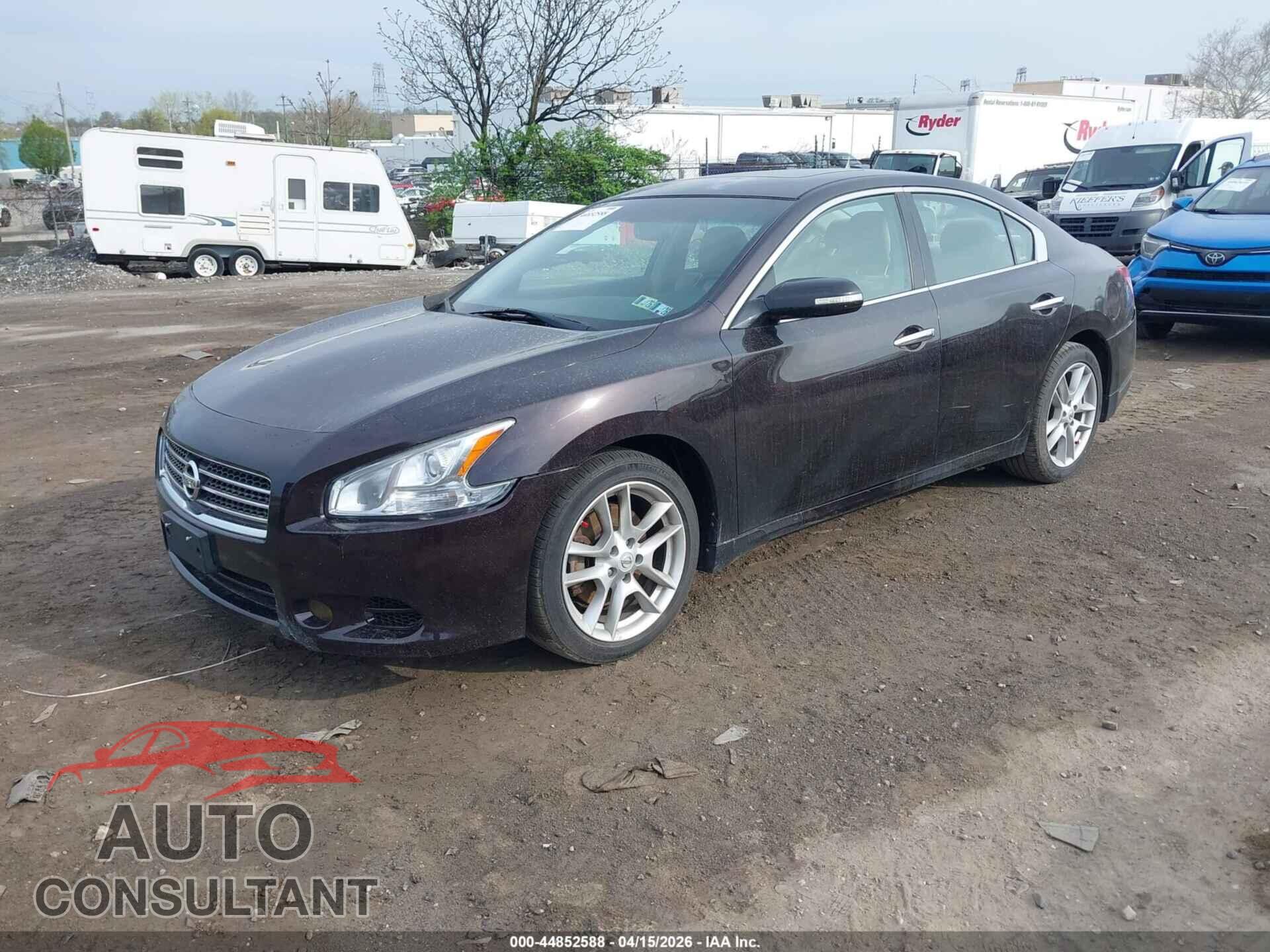 NISSAN MAXIMA 2011 - 1N4AA5AP1BC841441