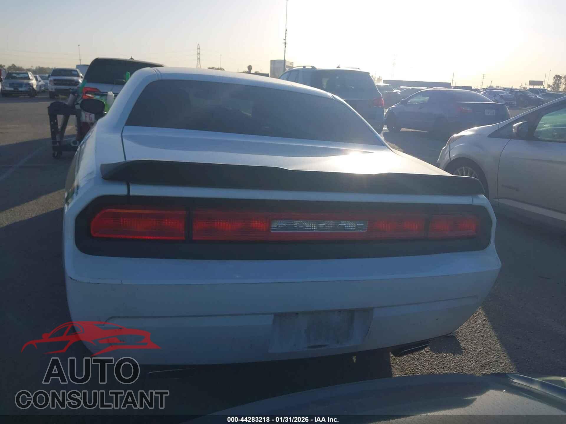 DODGE CHALLENGER 2013 - 2C3CDYAG3DH692420