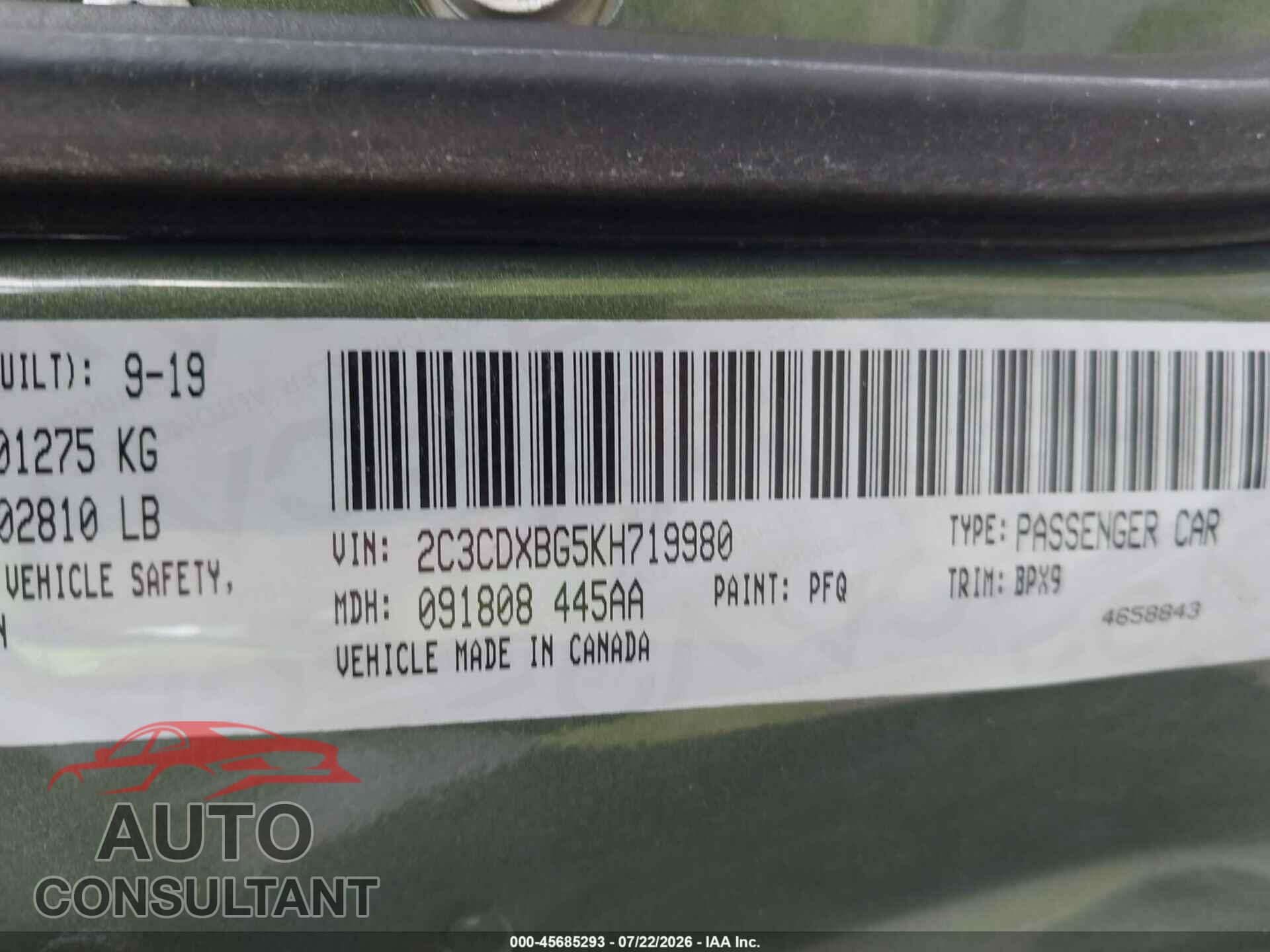 DODGE CHARGER 2019 - 2C3CDXBG5KH719980