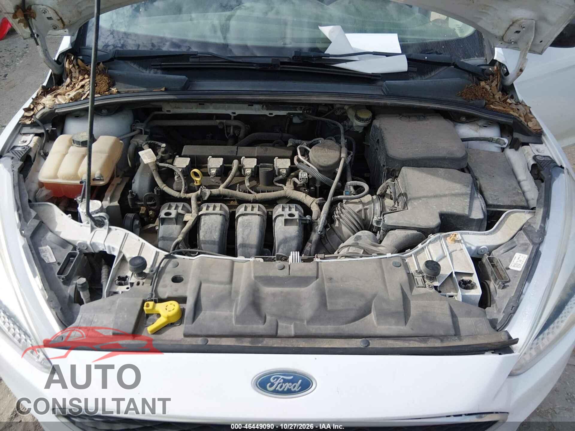 FORD FOCUS 2016 - 1FADP3E24GL288886