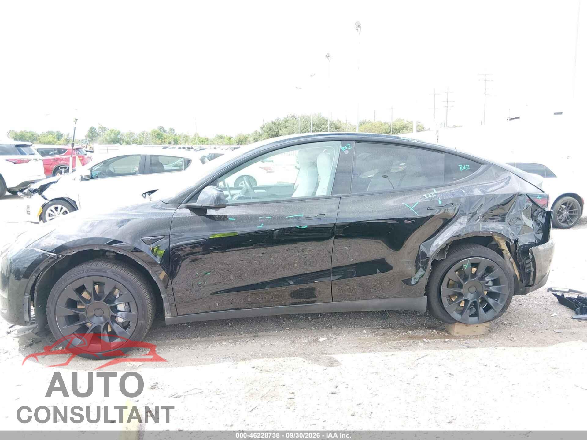 TESLA MODEL Y 2023 - 7SAYGAEE3PF646673