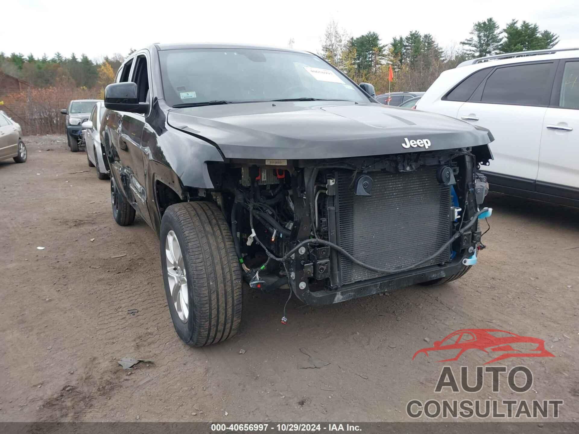 JEEP GRAND CHEROKEE WK 2022 - 1C4RJFAG6NC113749