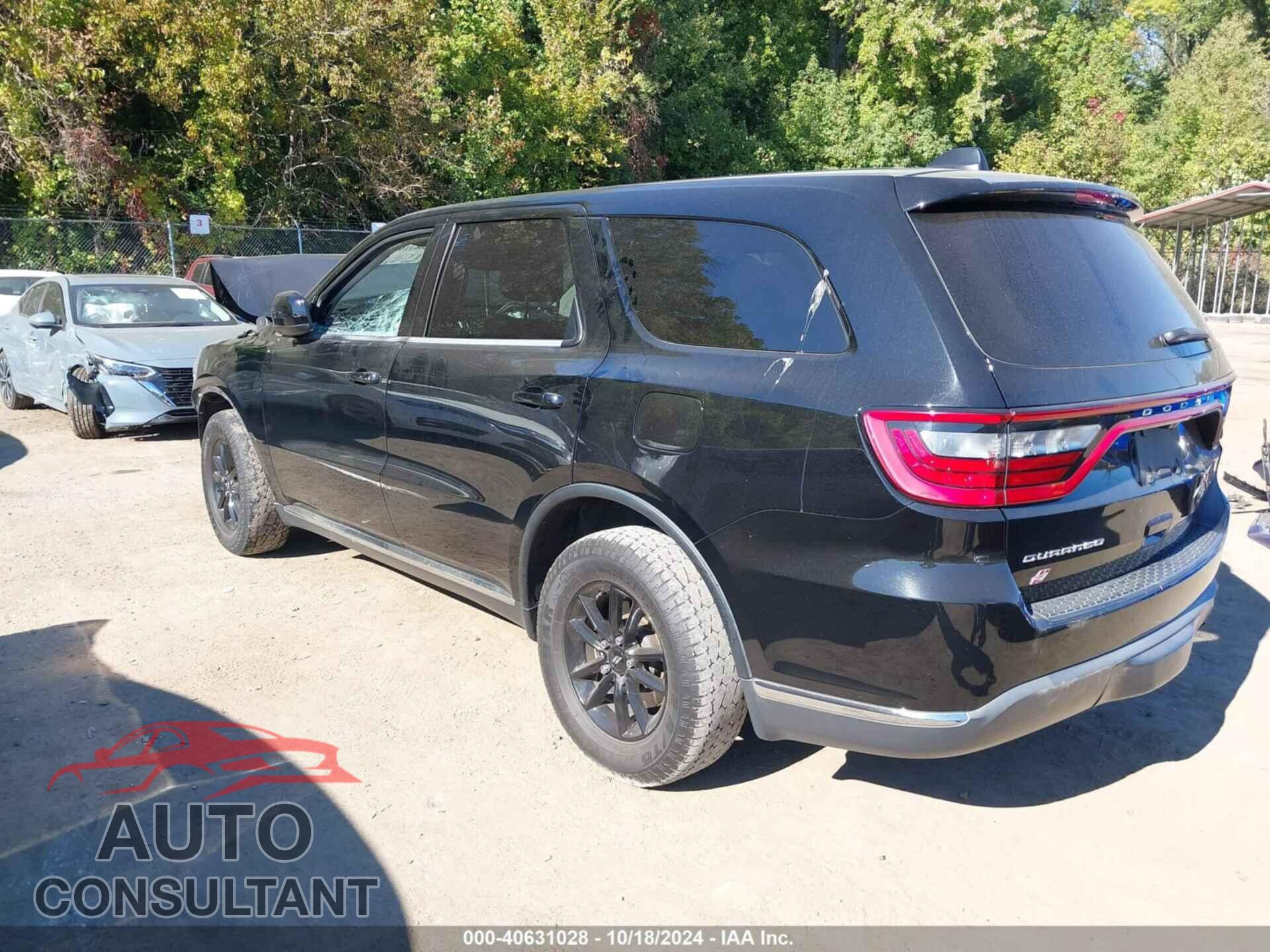 DODGE DURANGO 2019 - 1C4RDJAG5KC617294