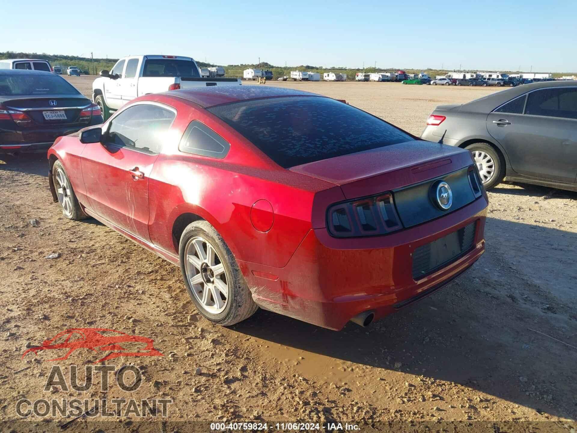 FORD MUSTANG 2014 - 1ZVBP8AM3E5284414