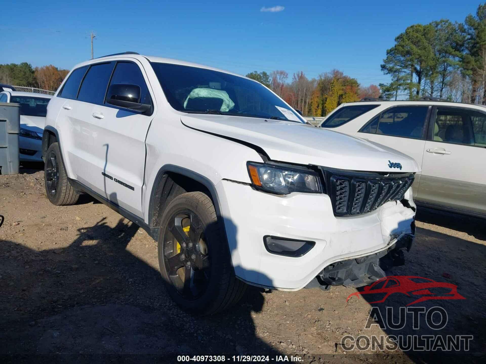 JEEP GRAND CHEROKEE 2019 - 1C4RJEAGXKC543175
