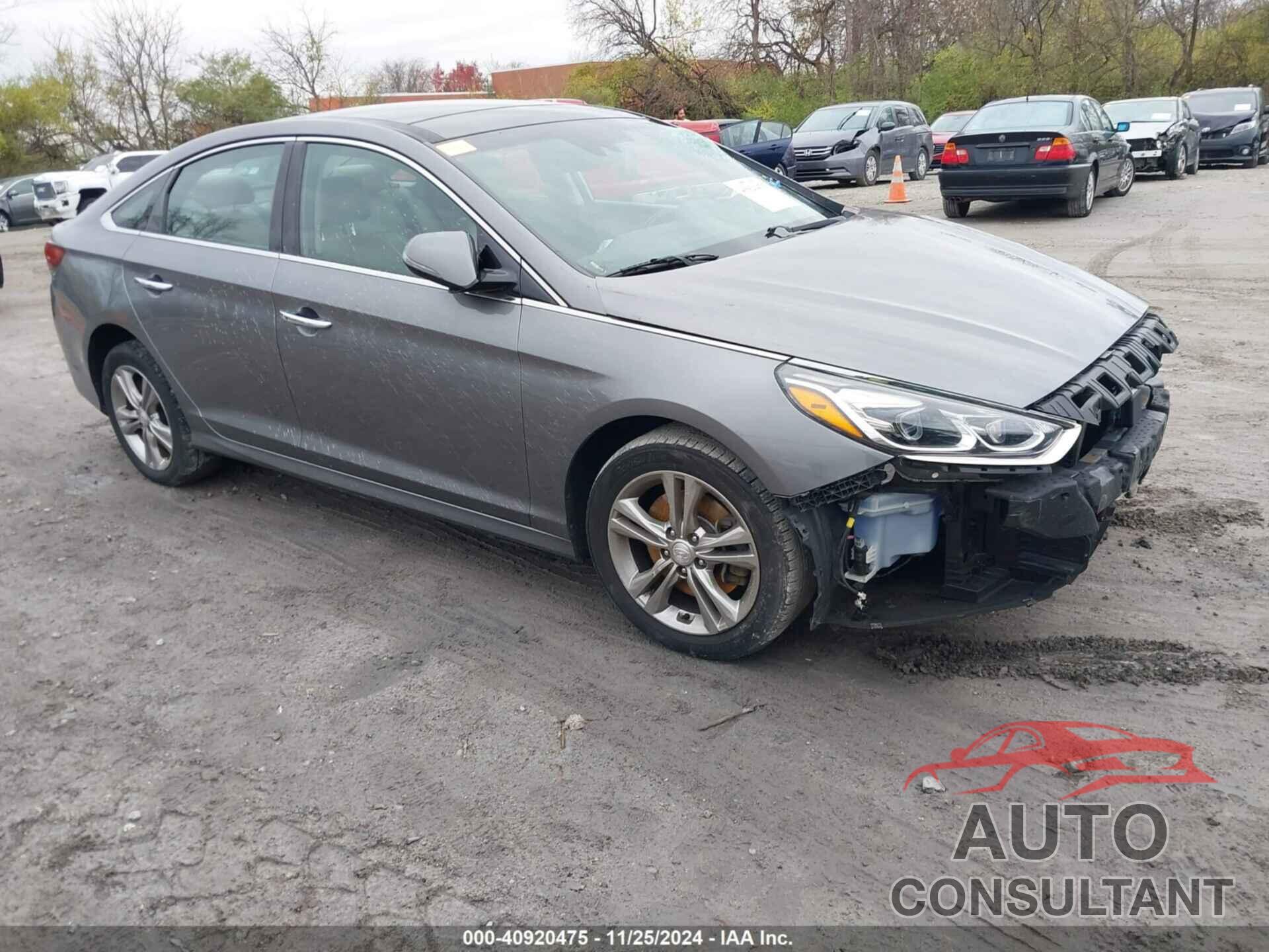 HYUNDAI SONATA 2019 - 5NPE34AF5KH821866