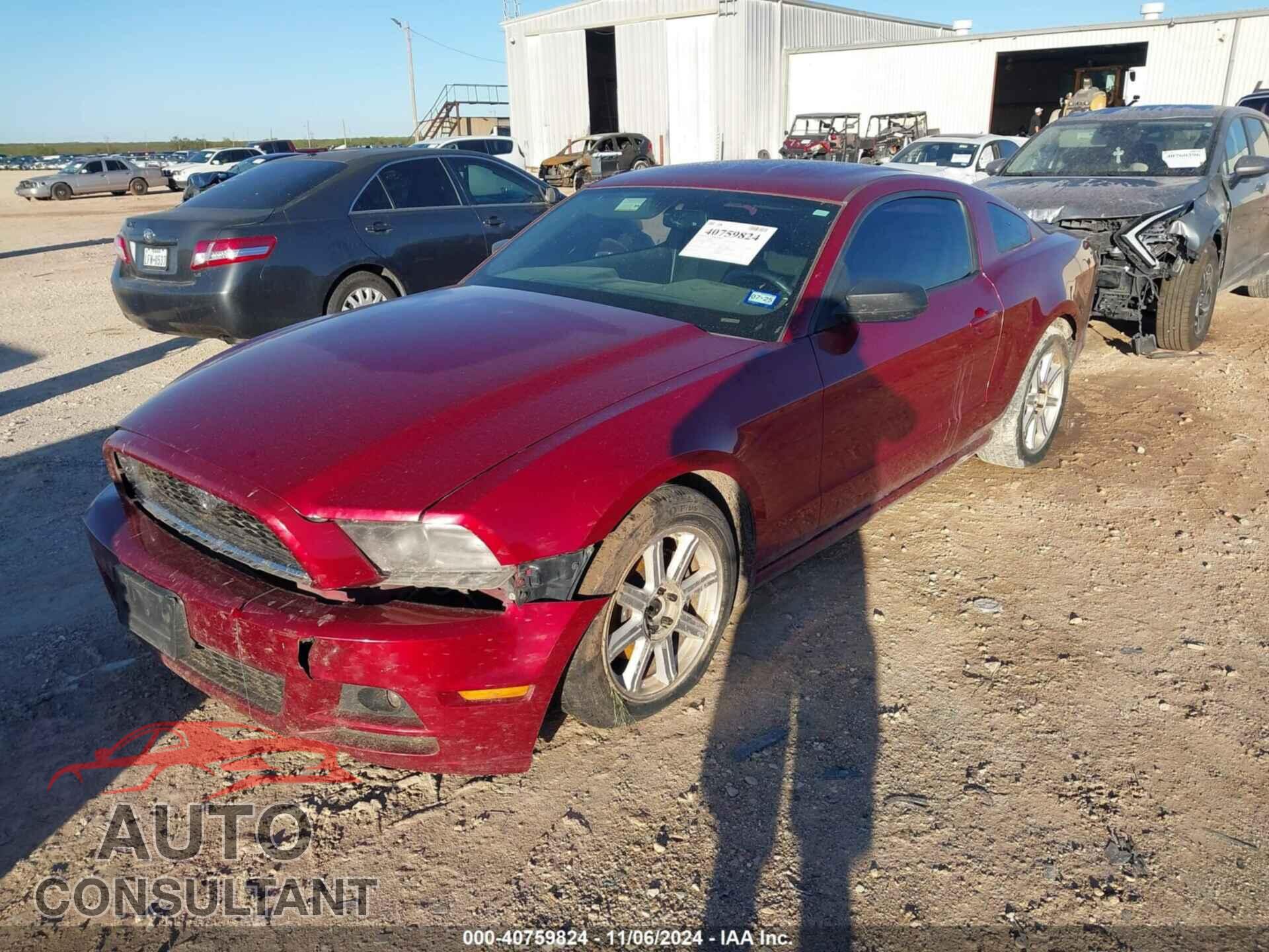 FORD MUSTANG 2014 - 1ZVBP8AM3E5284414