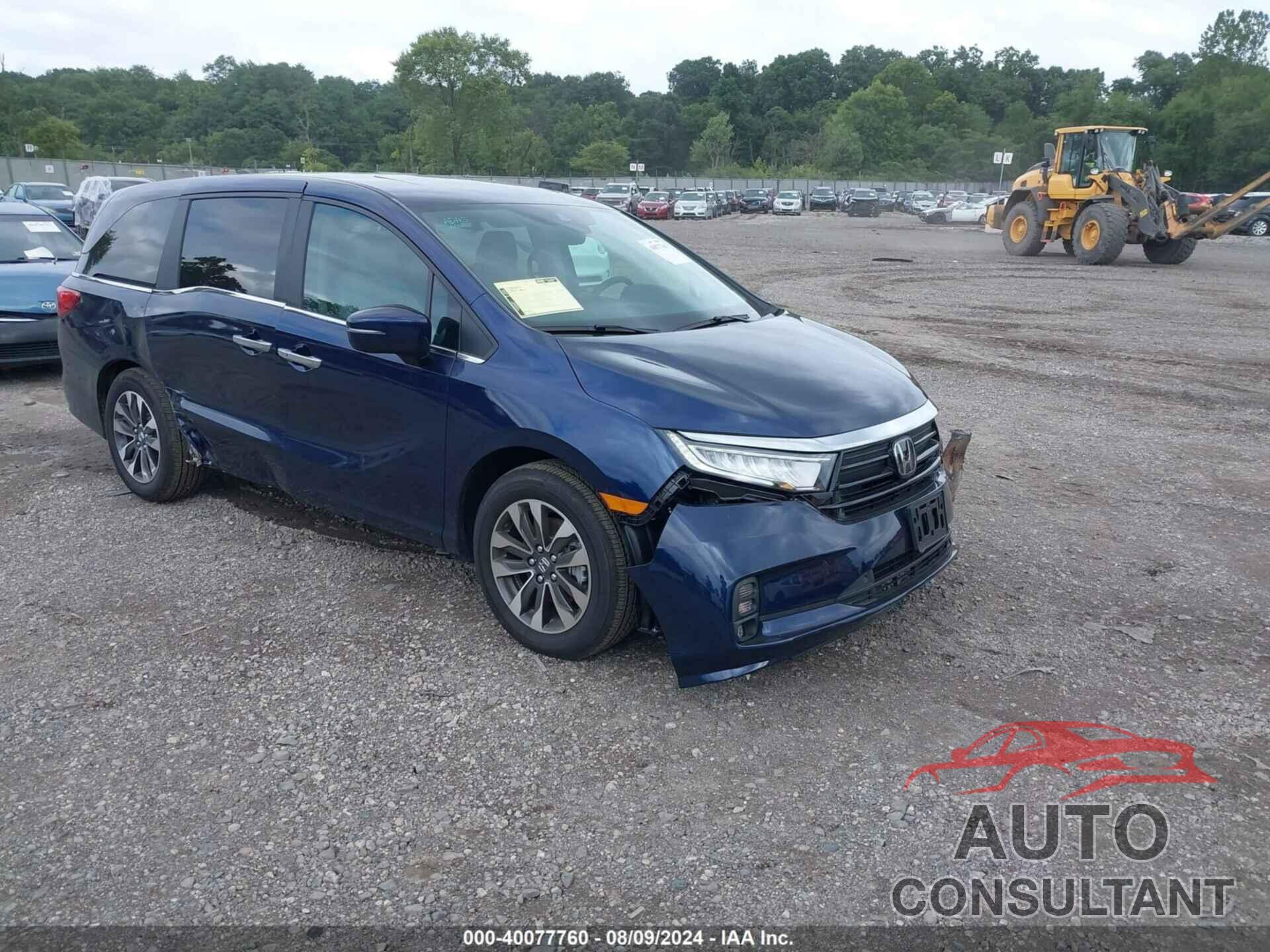 HONDA ODYSSEY 2024 - 5FNRL6H63RB056717