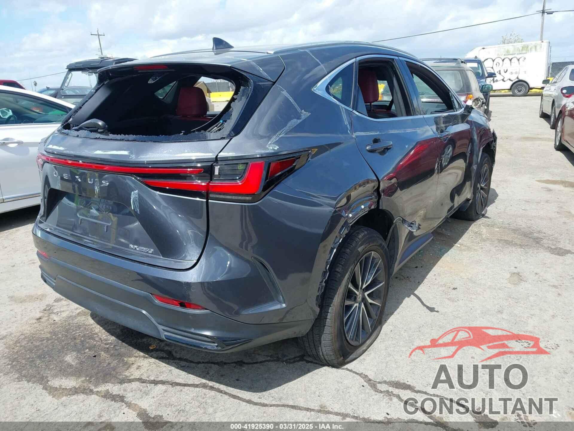 LEXUS NX 250 2024 - 2T2GDCAZ4RC006643