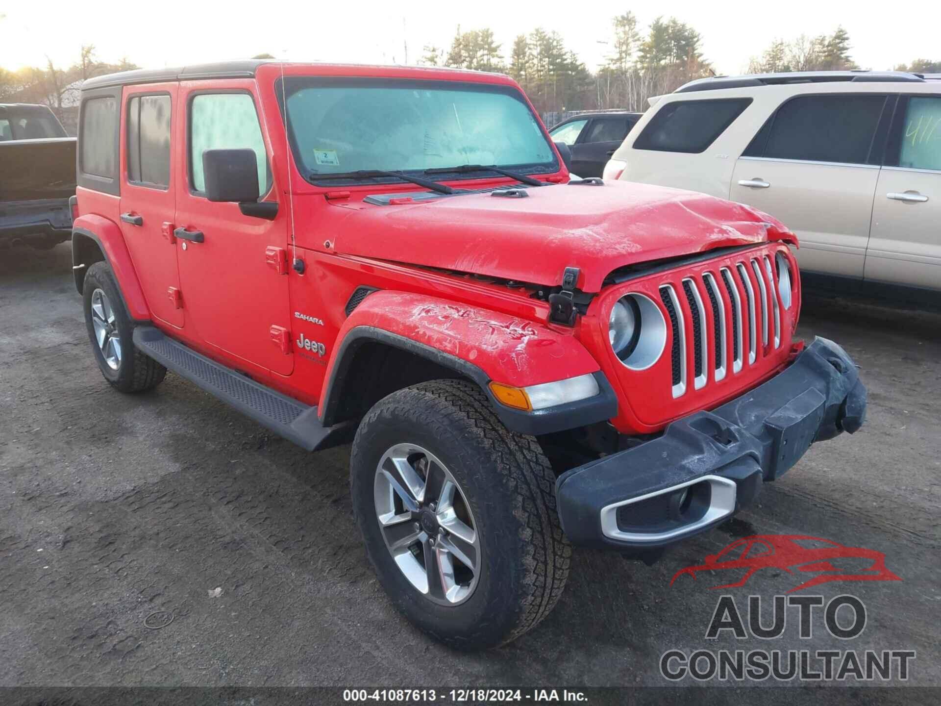 JEEP WRANGLER UNLIMITED 2020 - 1C4HJXEGXLW301343