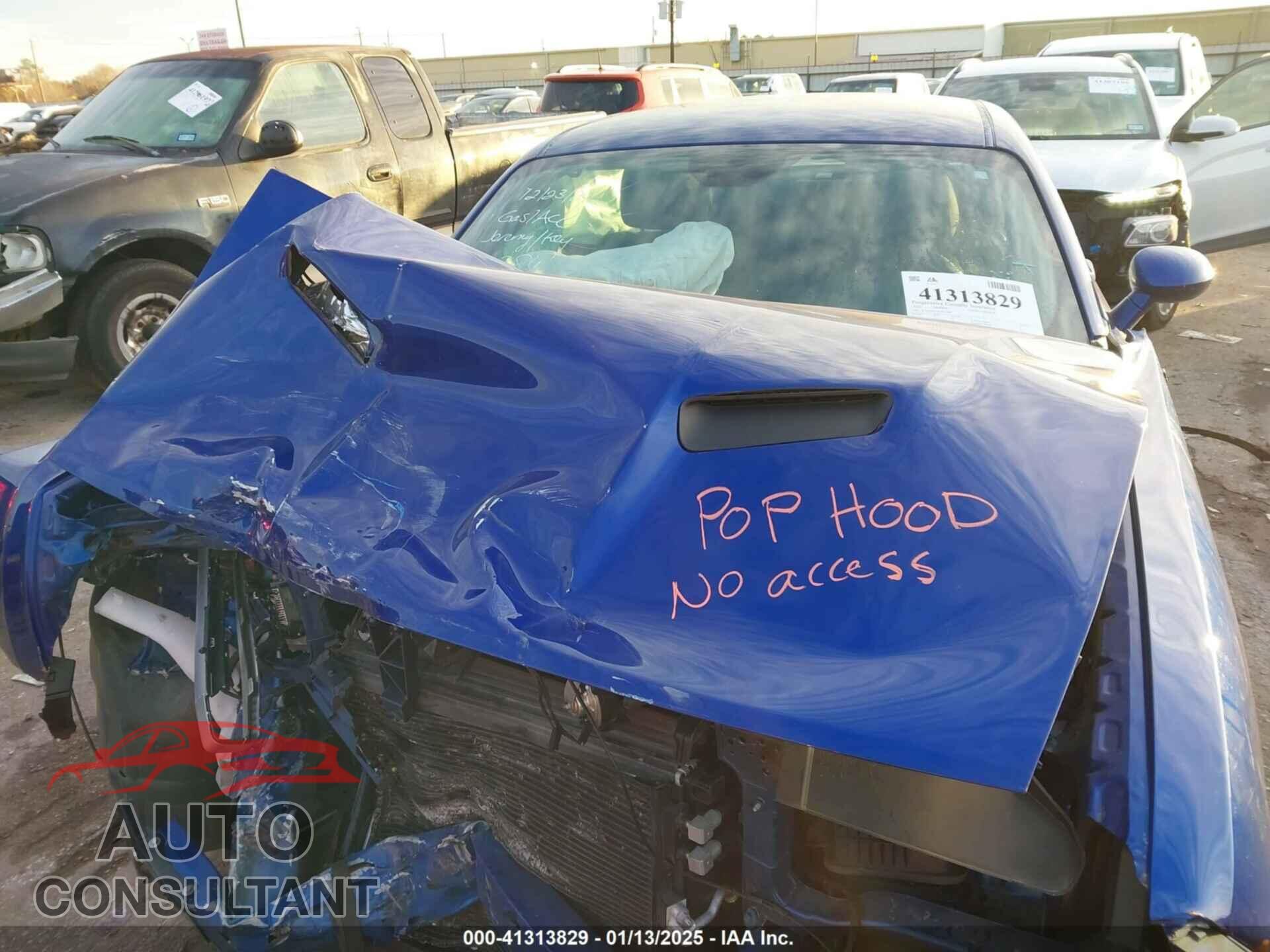 DODGE CHALLENGER 2020 - 2C3CDZAG3LH110384