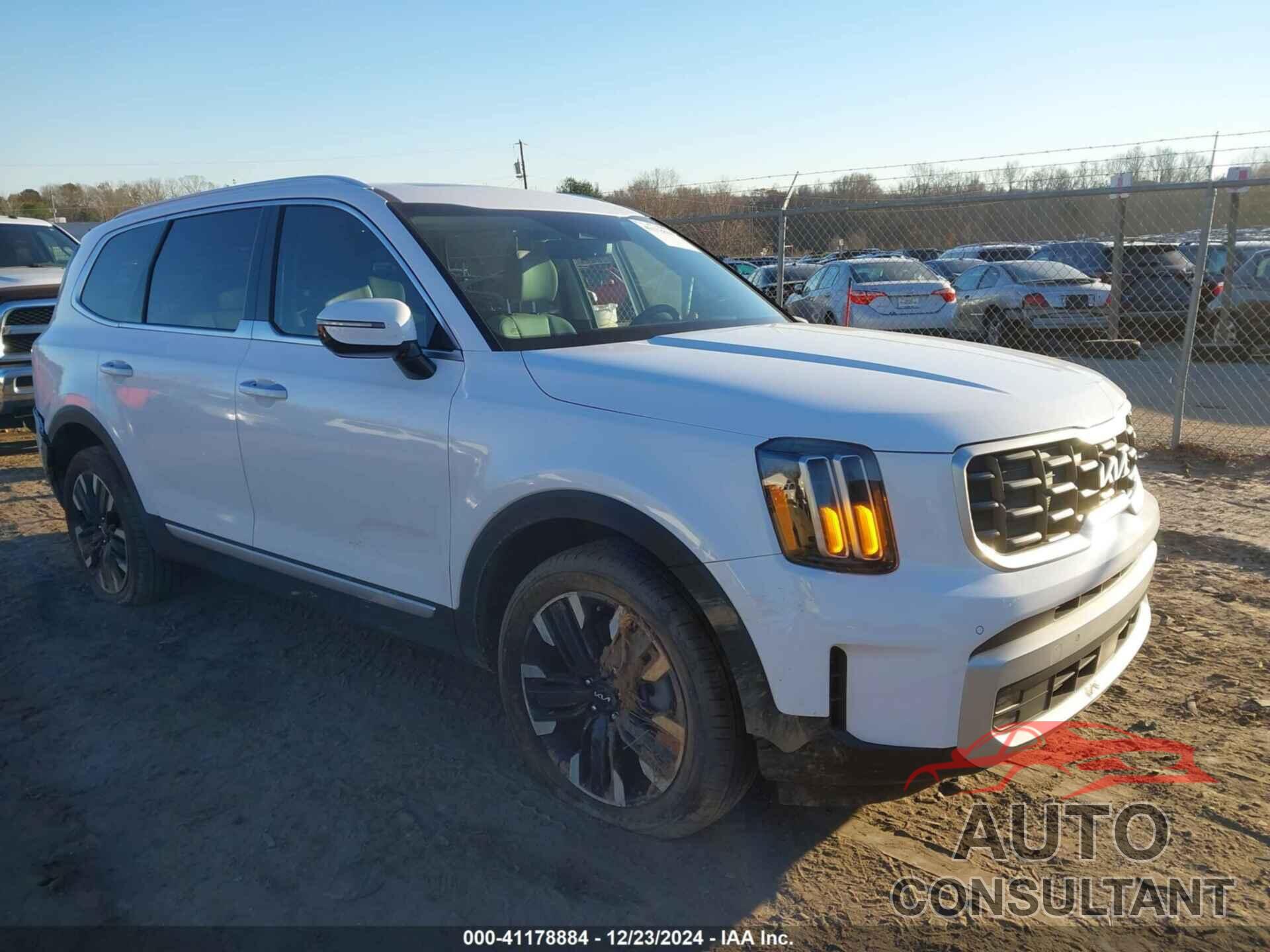 KIA TELLURIDE 2024 - 5XYP5DGC2RG544613