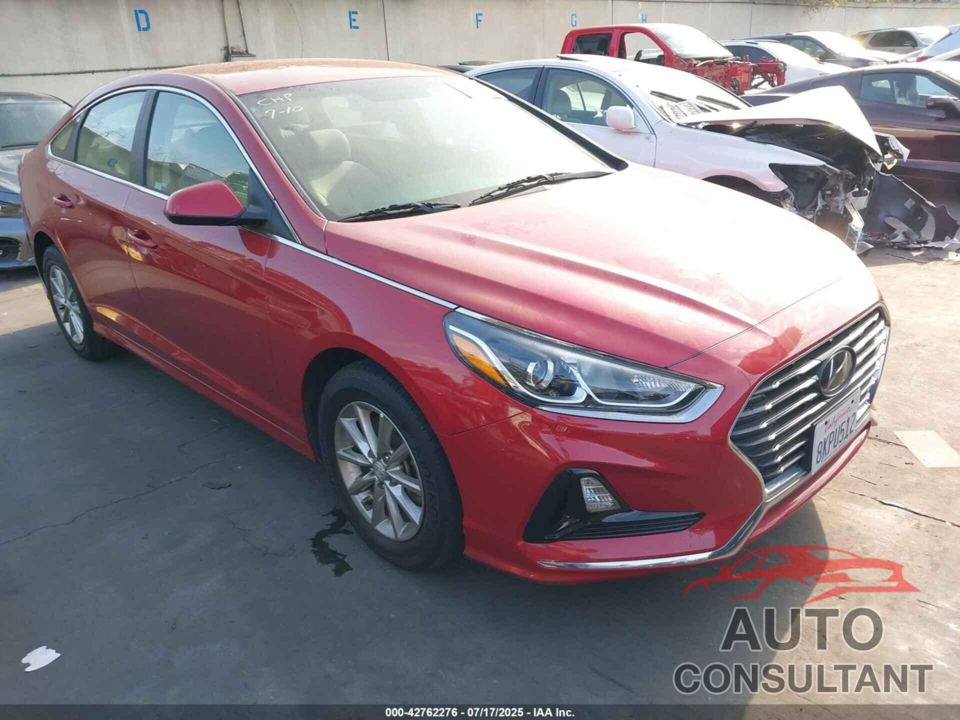 HYUNDAI SONATA 2019 - 5NPE24AF2KH752119