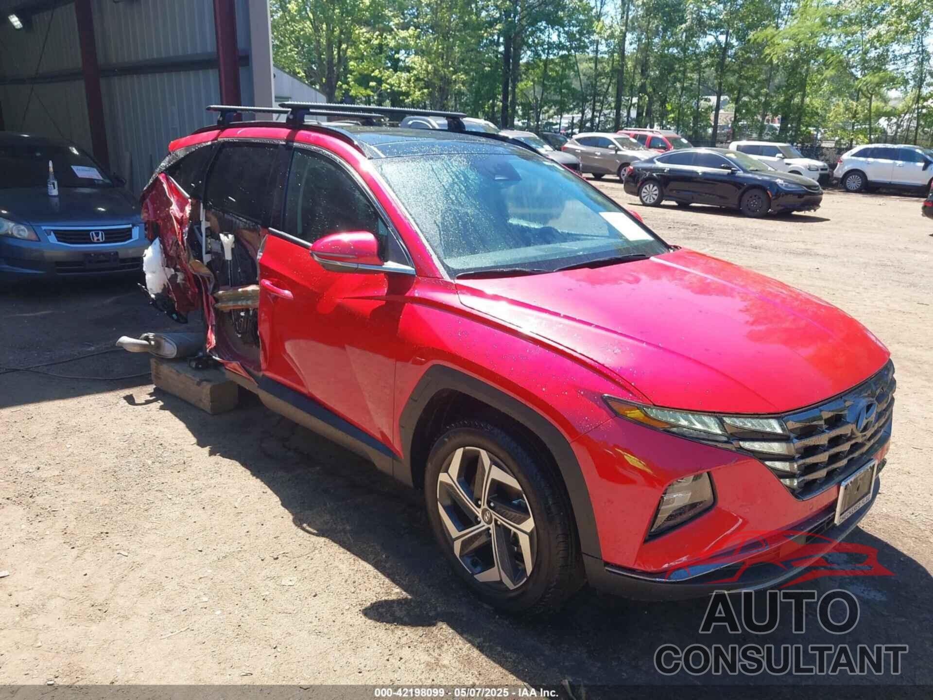 HYUNDAI TUCSON 2023 - 5NMJECAE0PH206589