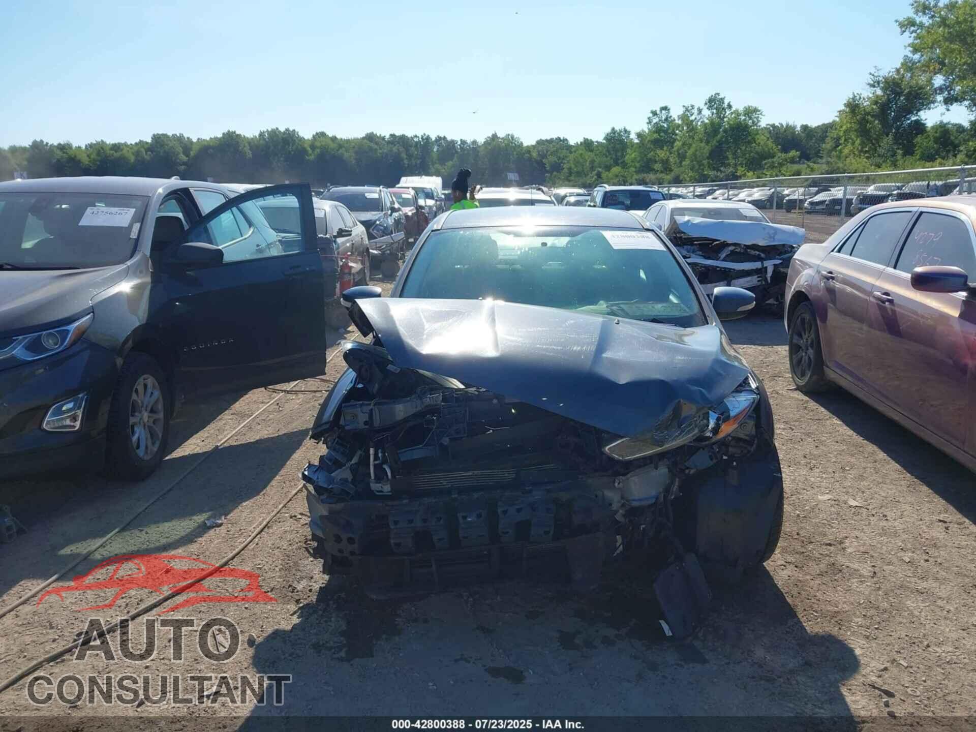 FORD FOCUS 2017 - 1FADP3F20HL221993