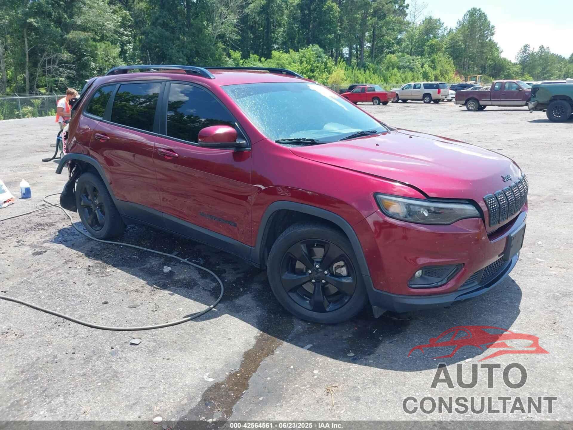 JEEP CHEROKEE 2019 - 1C4PJLLB7KD454252