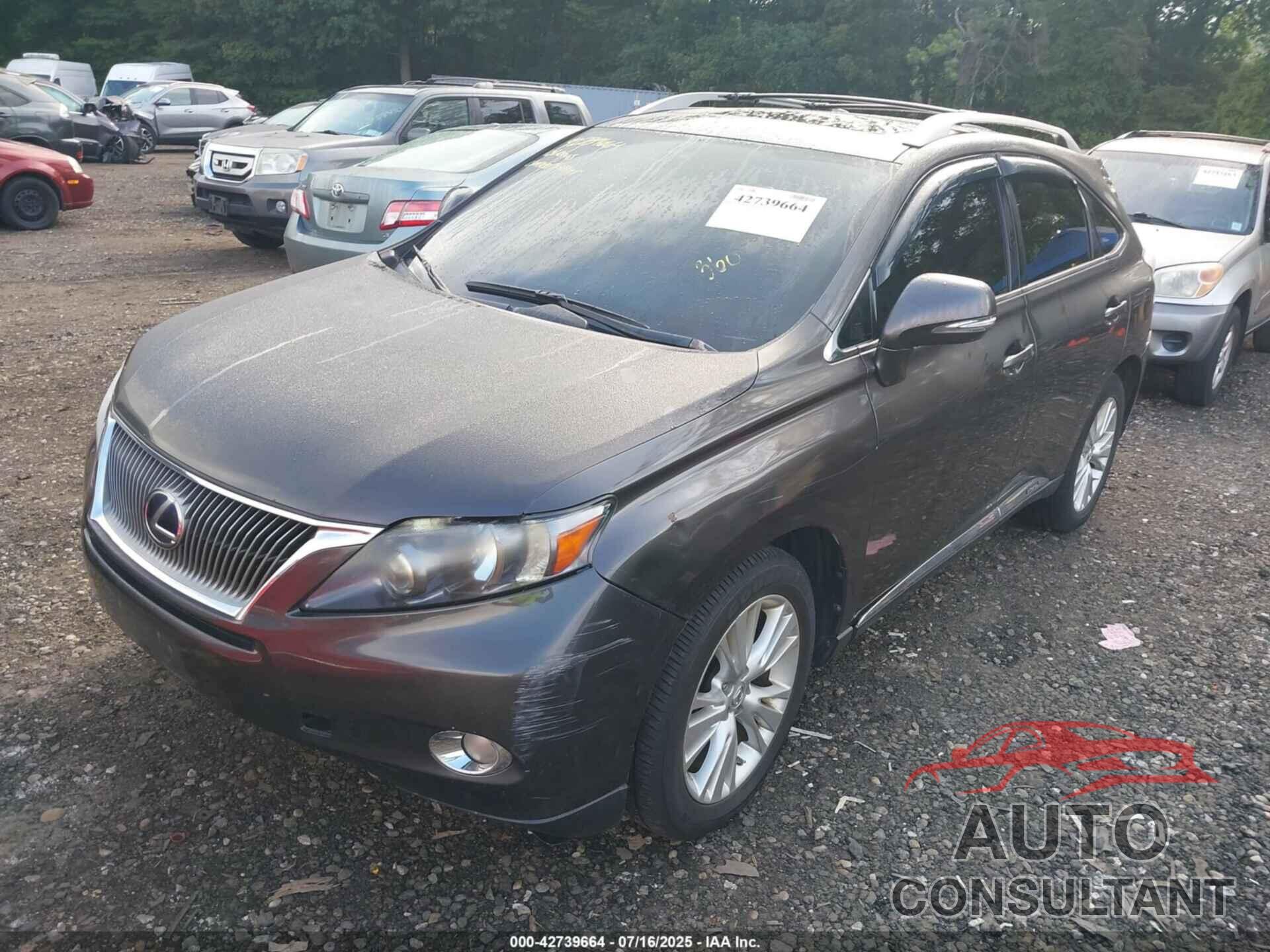 LEXUS RX 450H 2010 - JTJBC1BA2A2409762