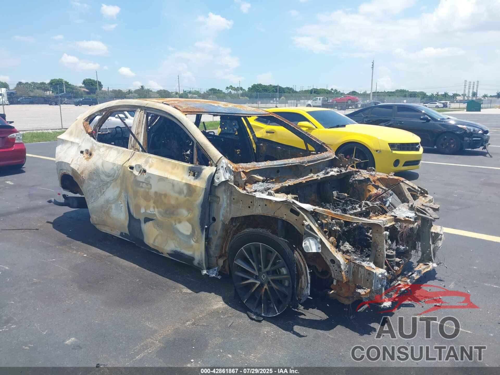 LEXUS NX 250 2025 - 2T2ADCAZXSC022079