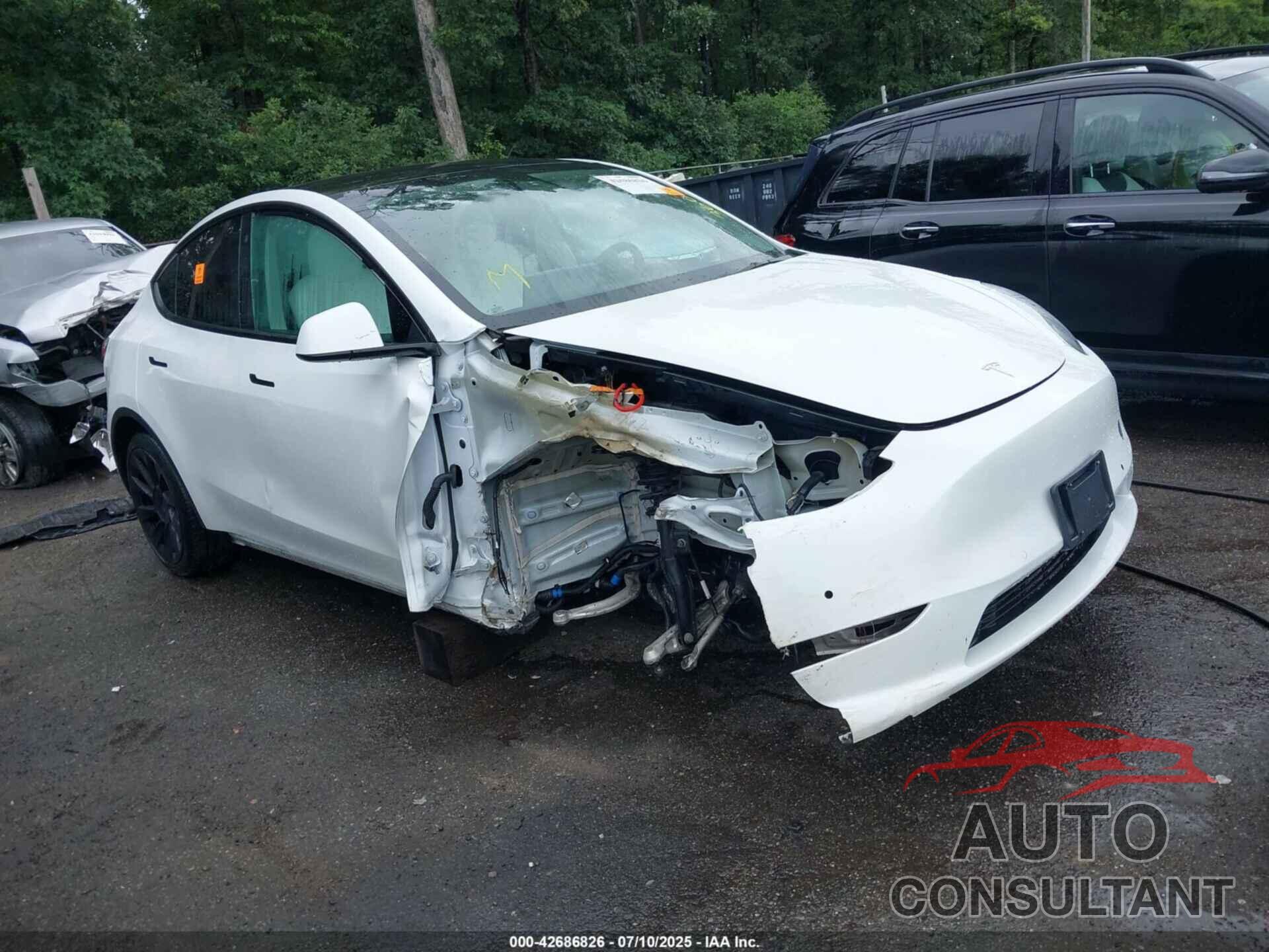 TESLA MODEL Y 2021 - 5YJYGDEE7MF304864