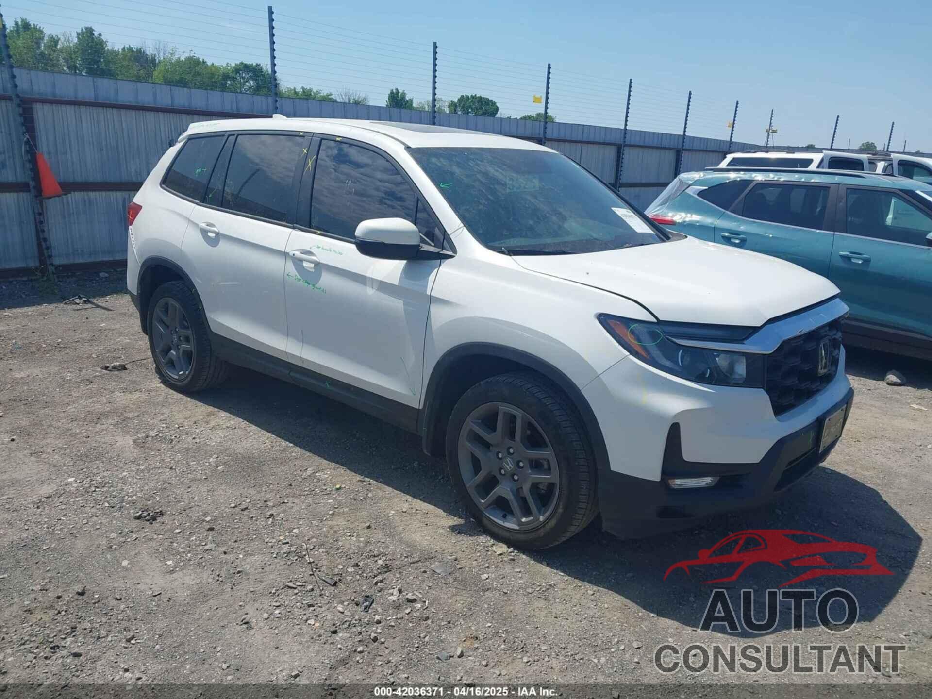 HONDA PASSPORT 2023 - 5FNYF8H57PB006499
