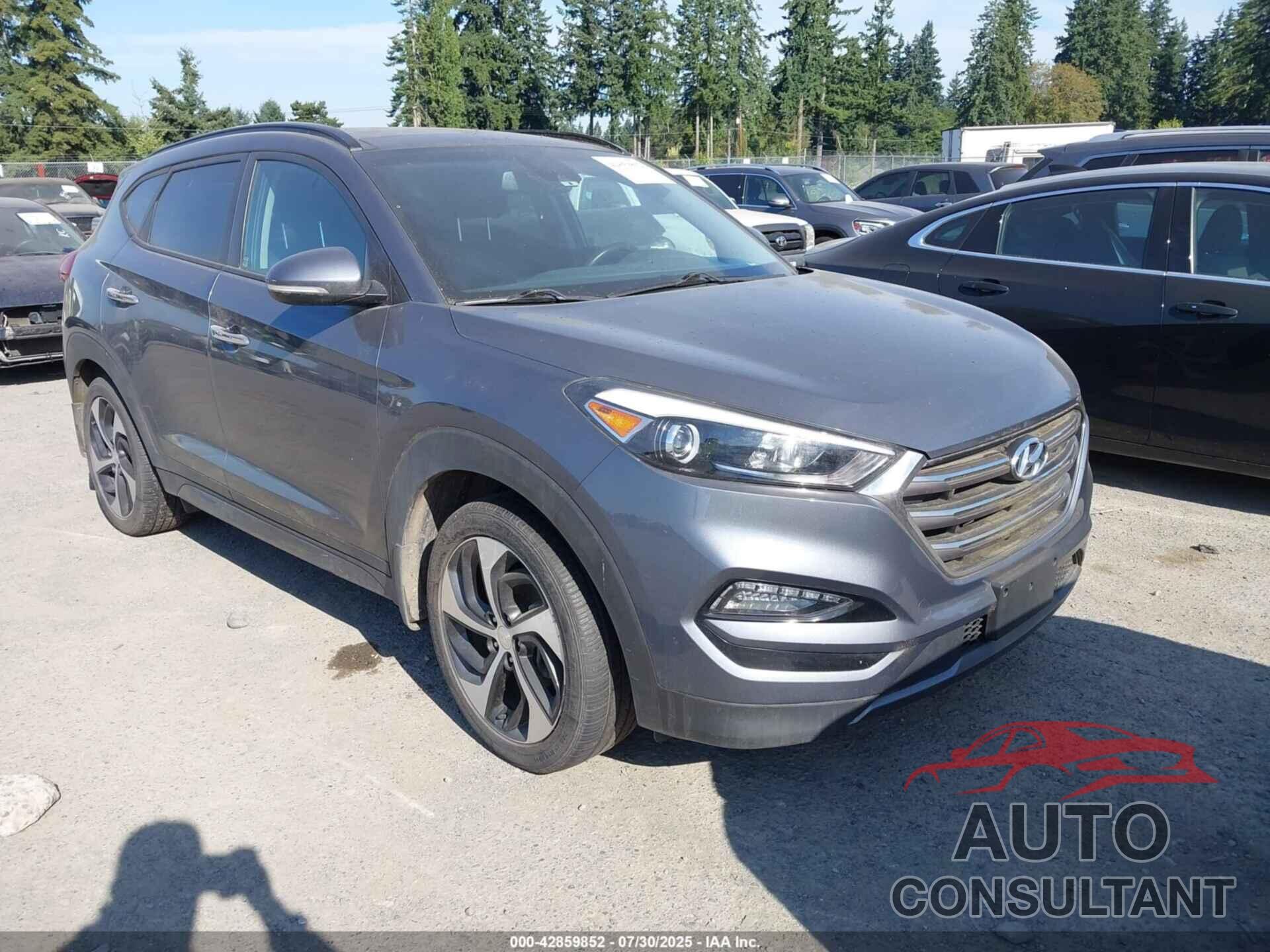 HYUNDAI TUCSON 2016 - KM8J3CA26GU224823