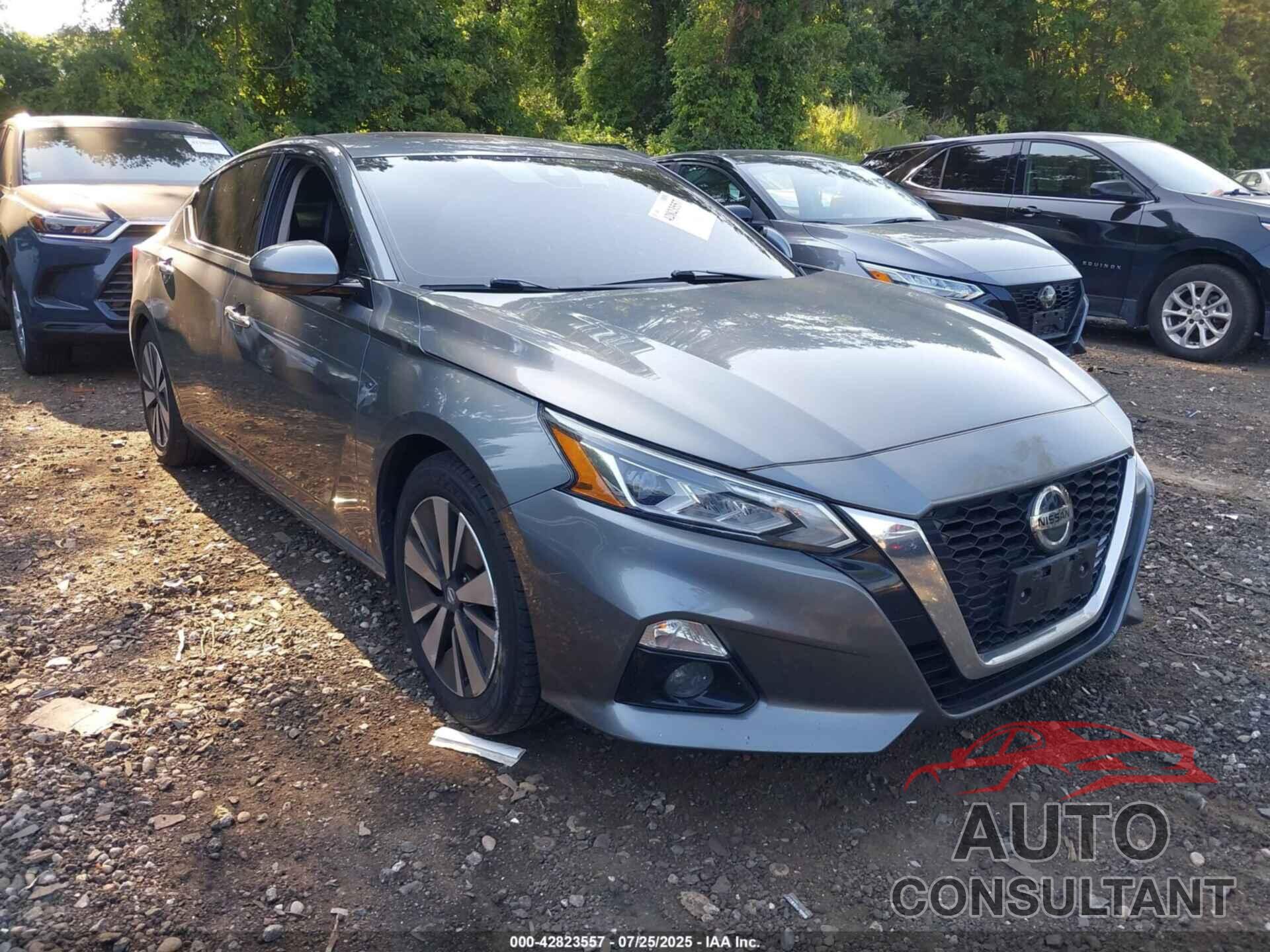 NISSAN ALTIMA 2019 - 1N4BL4EV6KC229513