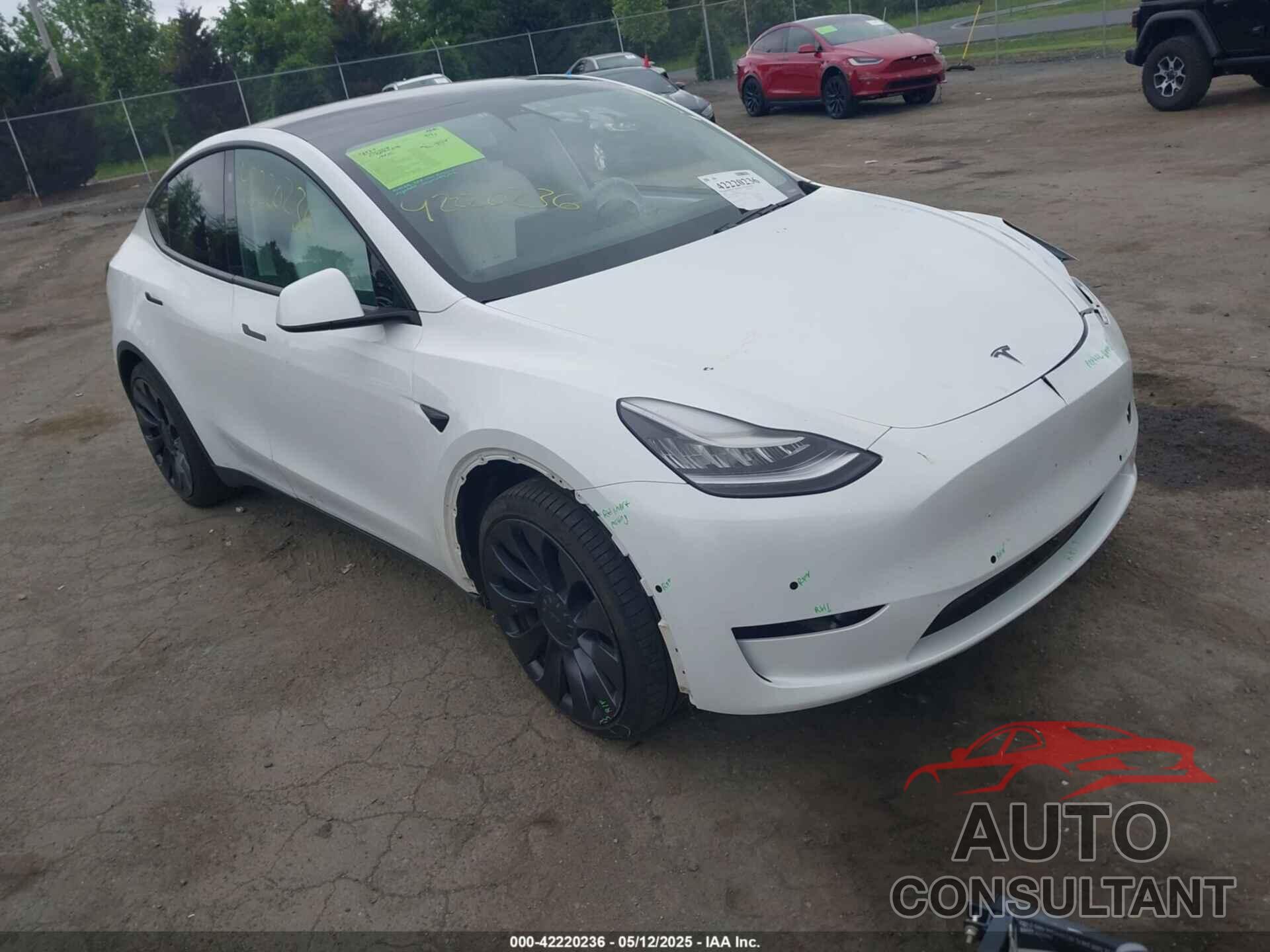 TESLA MODEL Y 2021 - 5YJYGDEE7MF068619