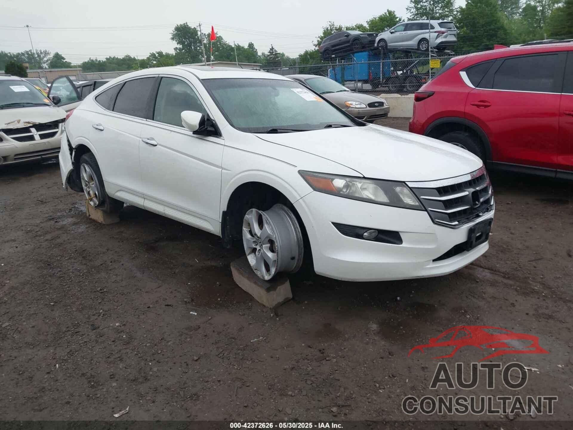 HONDA CROSSTOUR 2012 - 5J6TF2H53CL008257