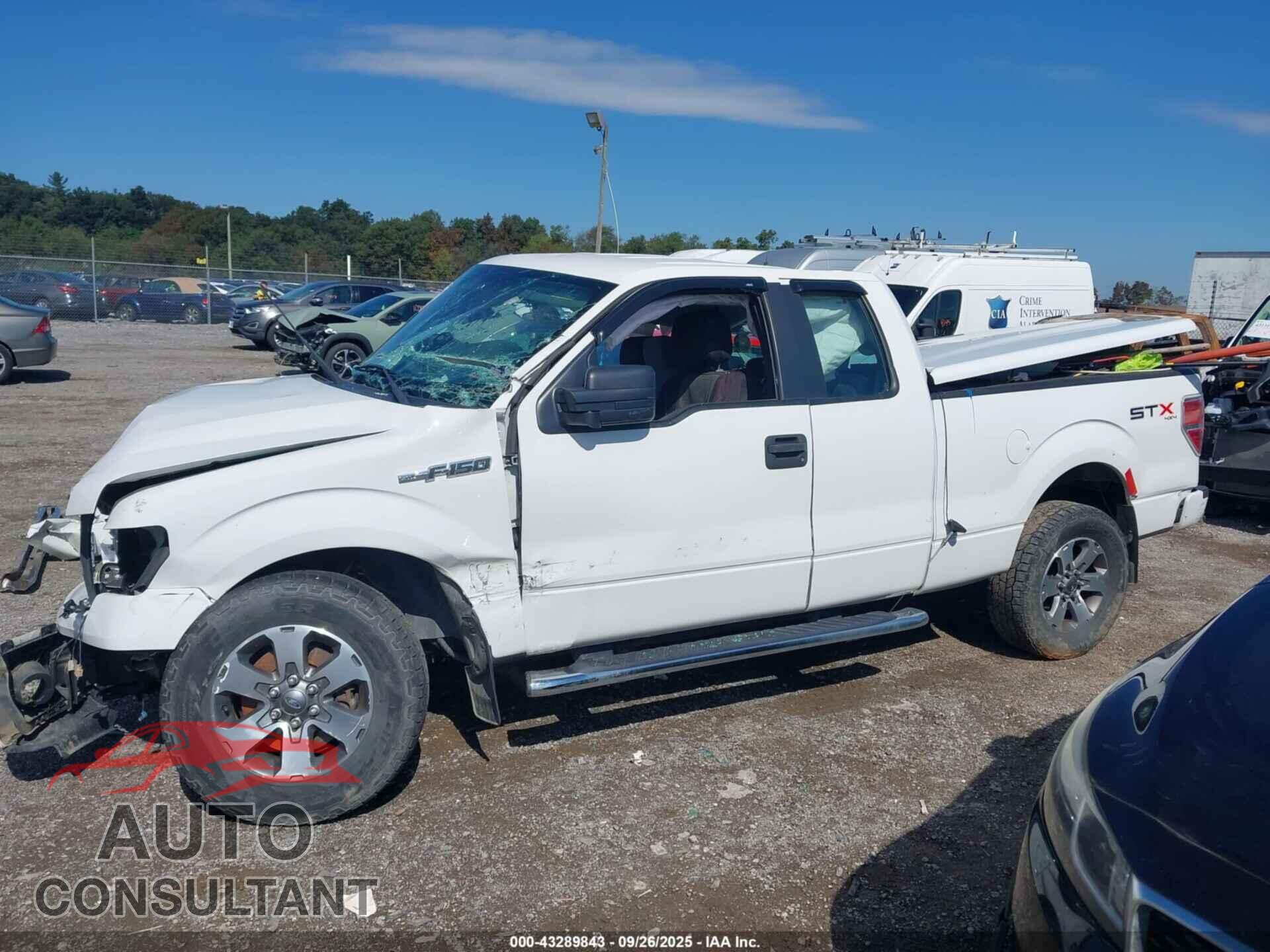 FORD F-150 2013 - 1FTFX1EF3DFD61461