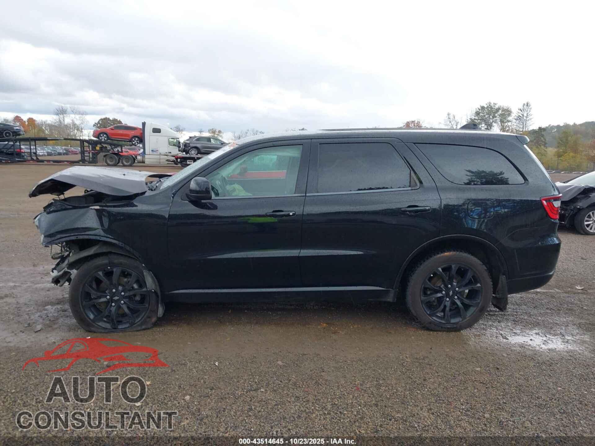 DODGE DURANGO 2019 - 1C4RDJAG6KC848205