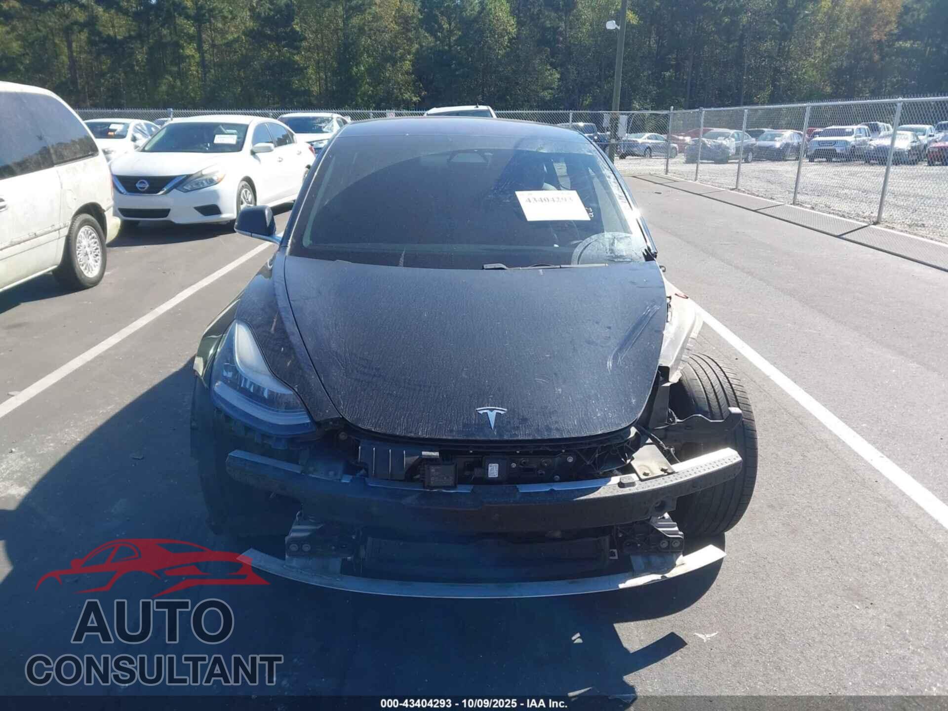 TESLA MODEL 3 2018 - 5YJ3E1EA5JF173389