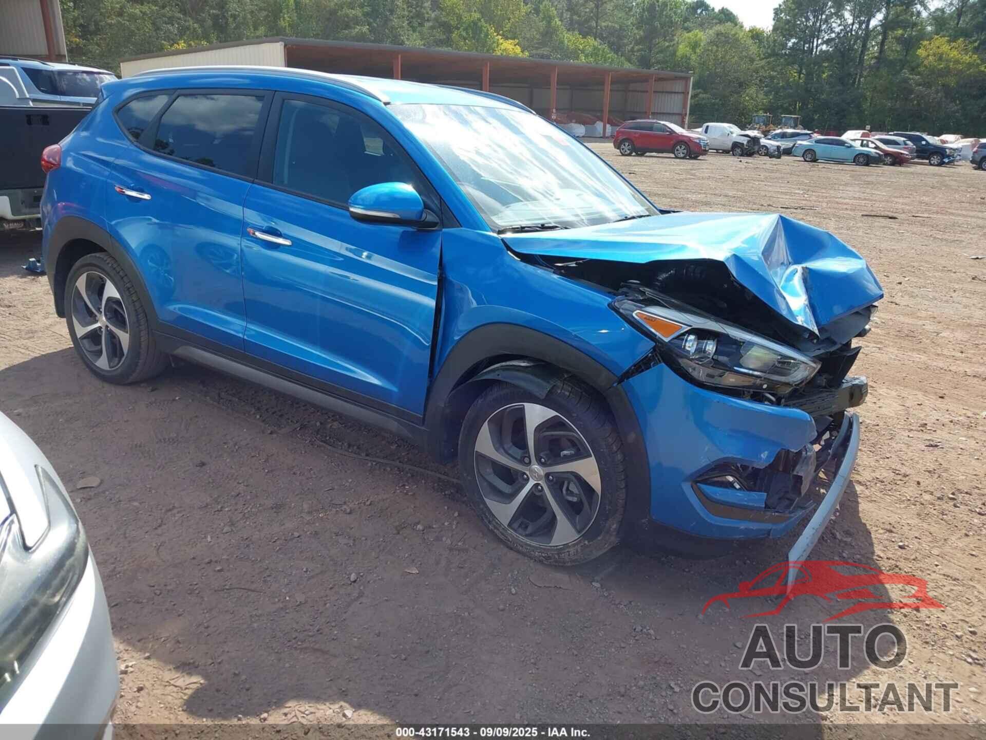HYUNDAI TUCSON 2016 - KM8J33A25GU207950