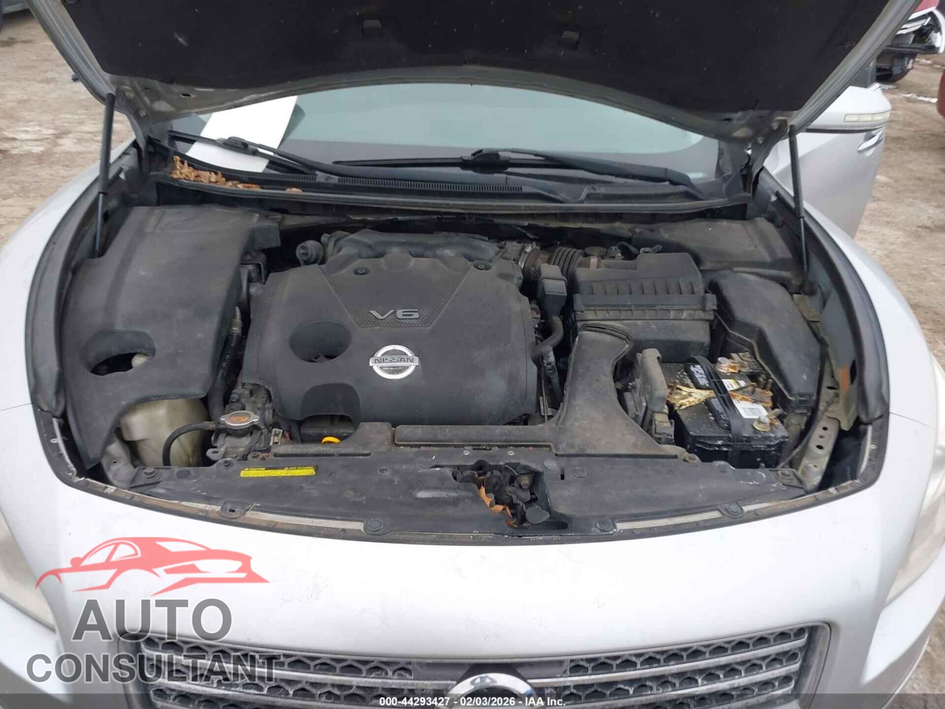 NISSAN MAXIMA 2011 - 1N4AA5AP5BC830894