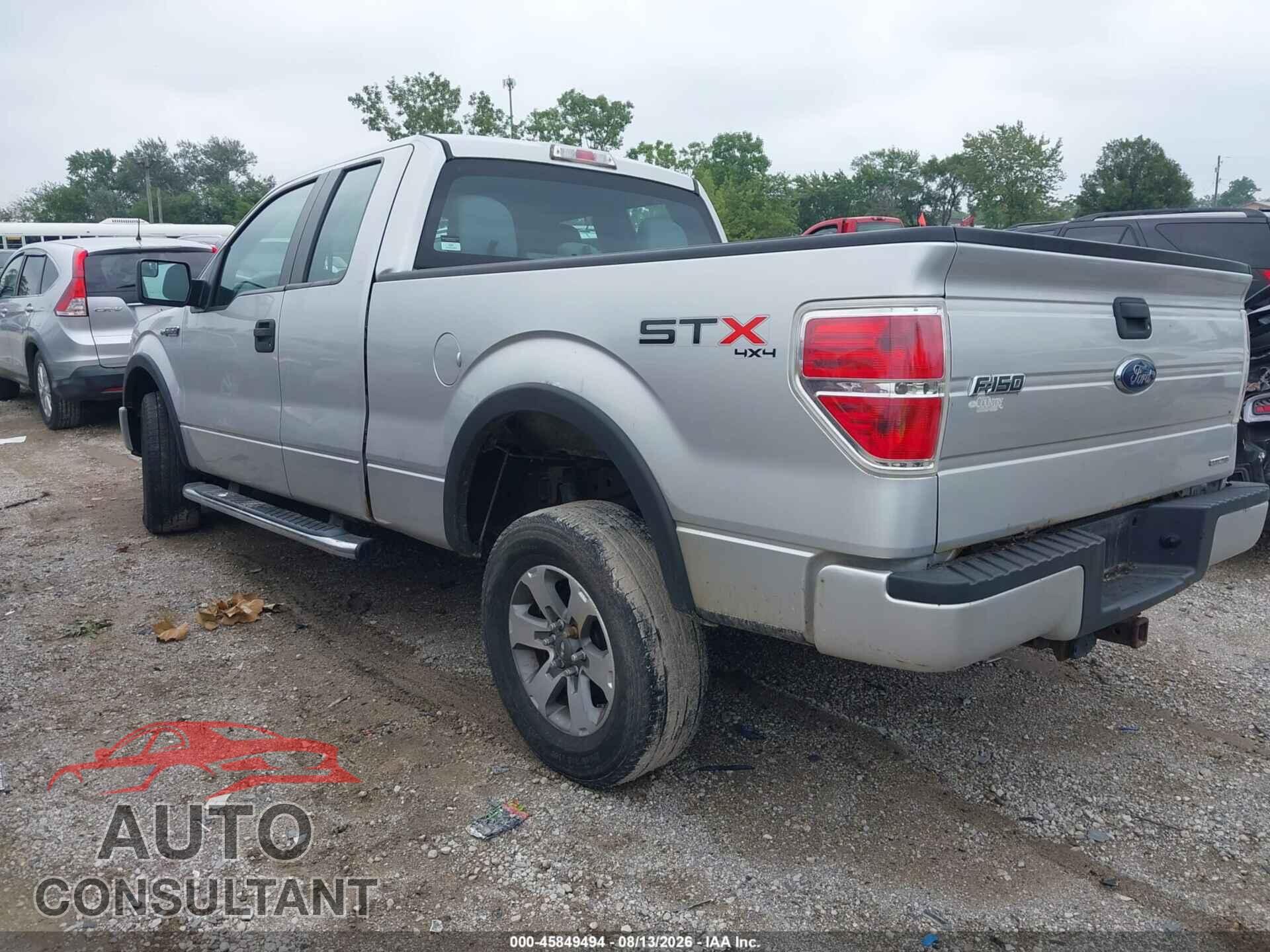 FORD F-150 2013 - 1FTFX1EF8DFD24051