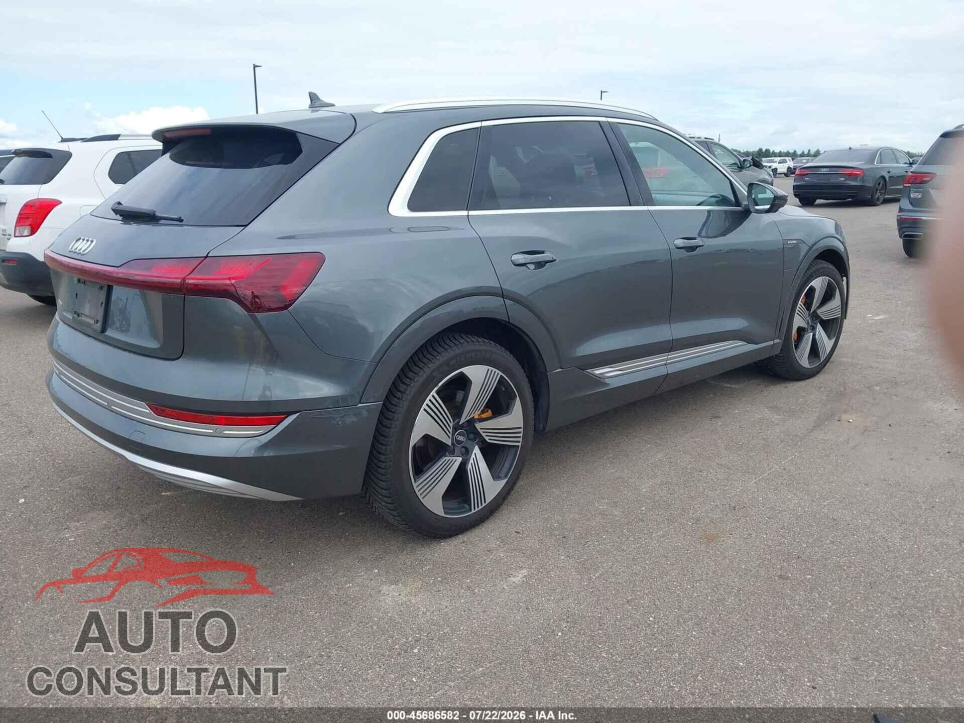 AUDI E-TRON 2019 - WA1VAAGE2KB005227