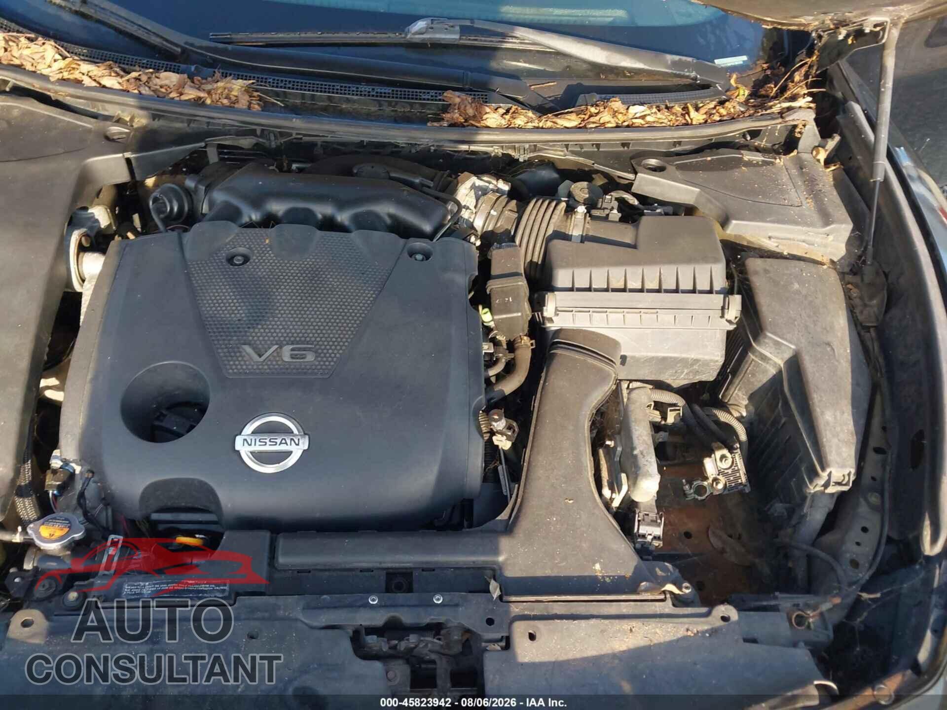NISSAN MAXIMA 2011 - 1N4AA5AP4BC862056