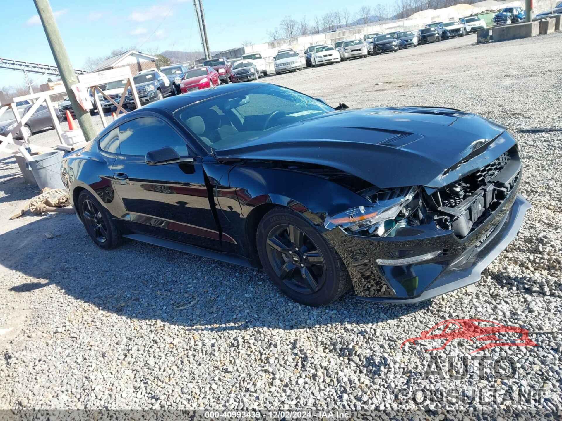 FORD MUSTANG 2019 - 1FA6P8TH1K5201326