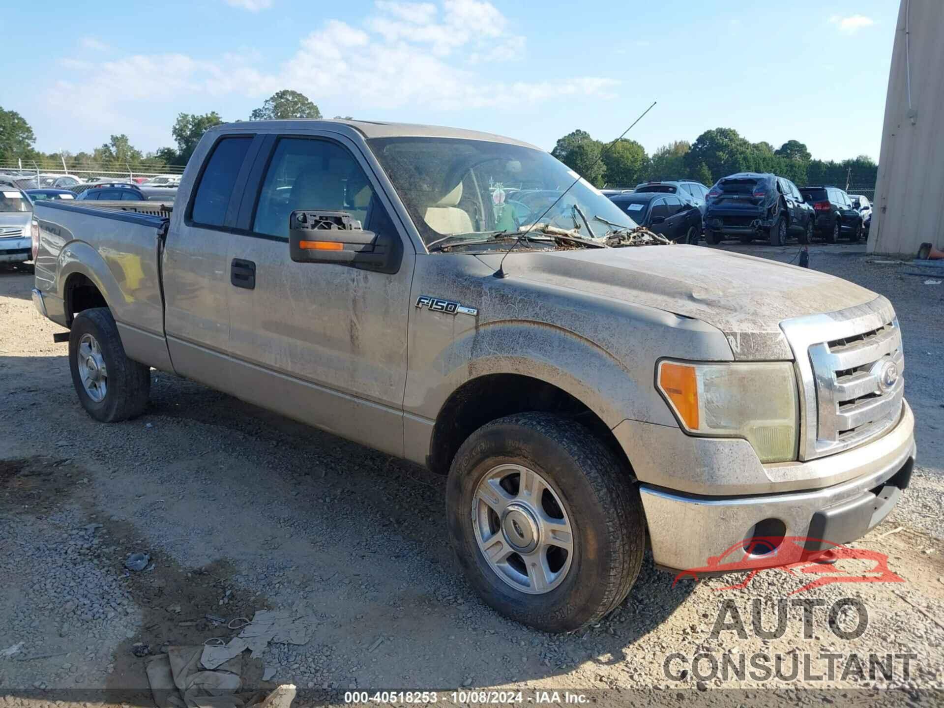 FORD F-150 2010 - 1FTFX1EV8AFB15685