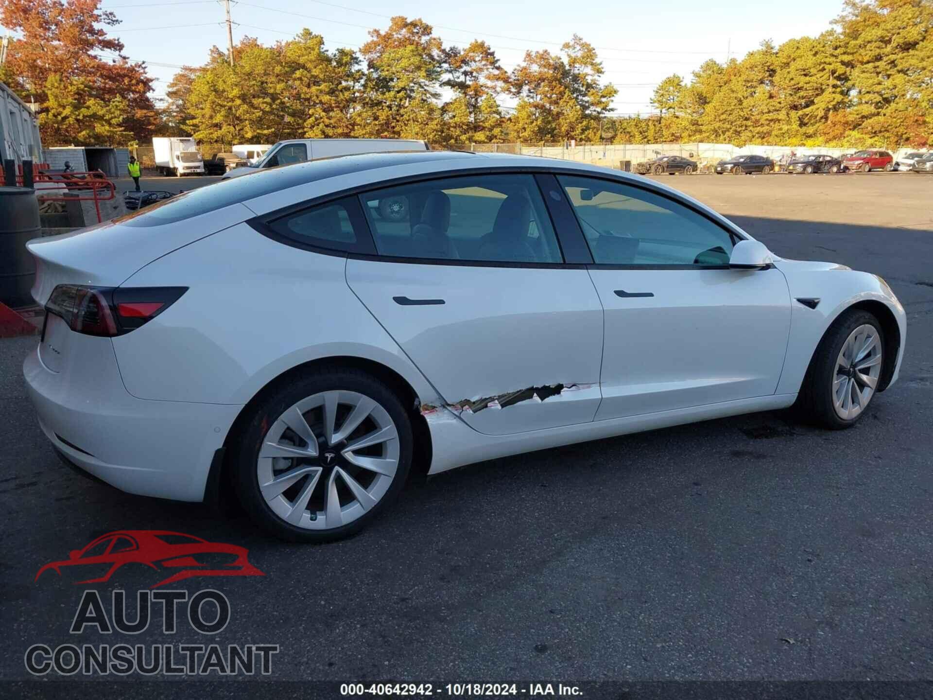 TESLA MODEL 3 2021 - 5YJ3E1EBXMF855729