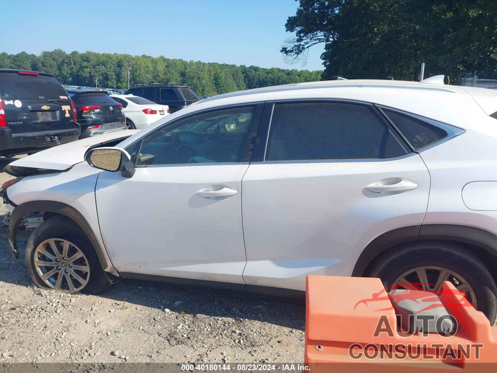 LEXUS NX 300 2019 - JTJYARBZ5K2126889