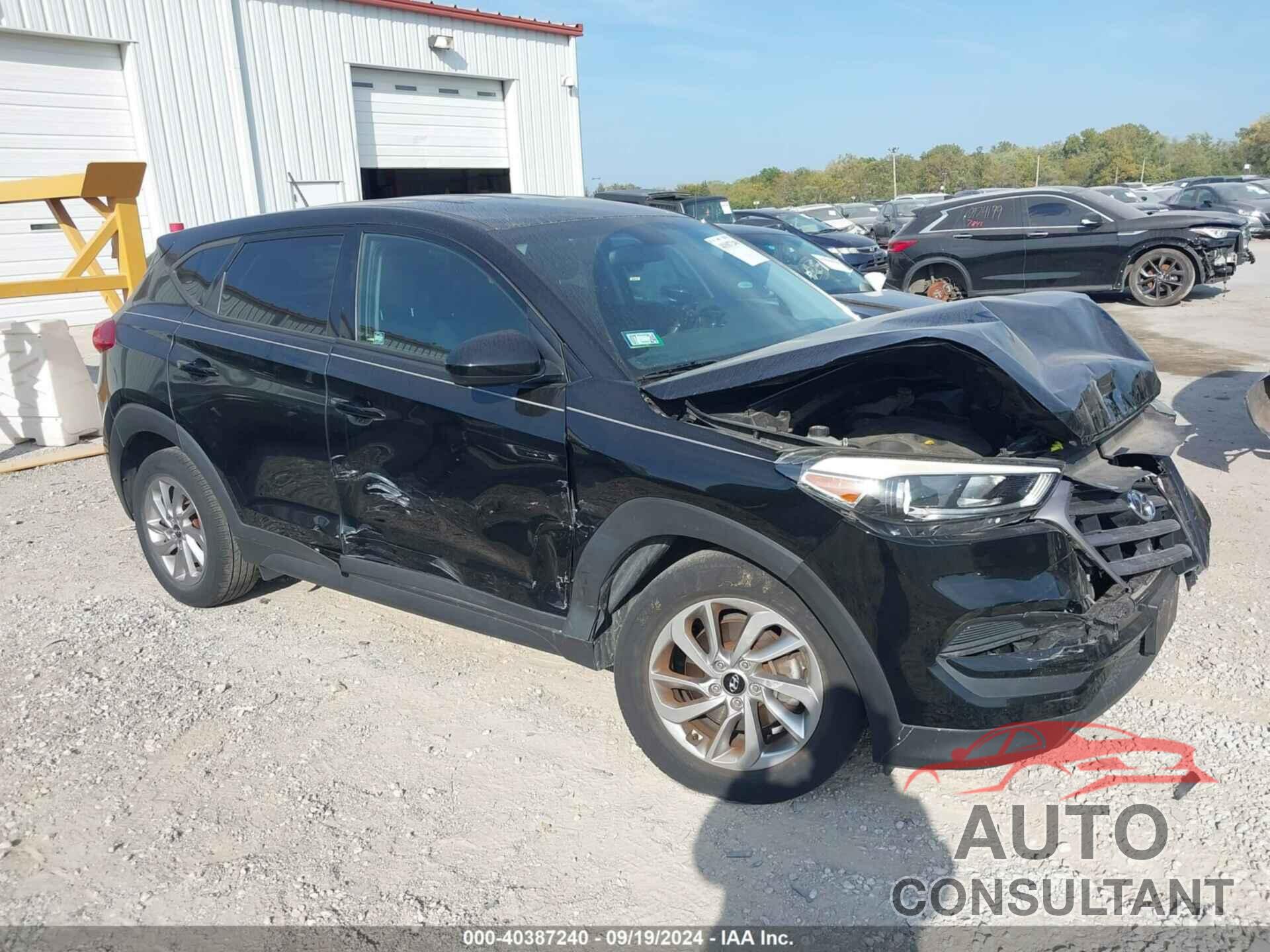 HYUNDAI TUCSON 2016 - KM8J23A45GU125172