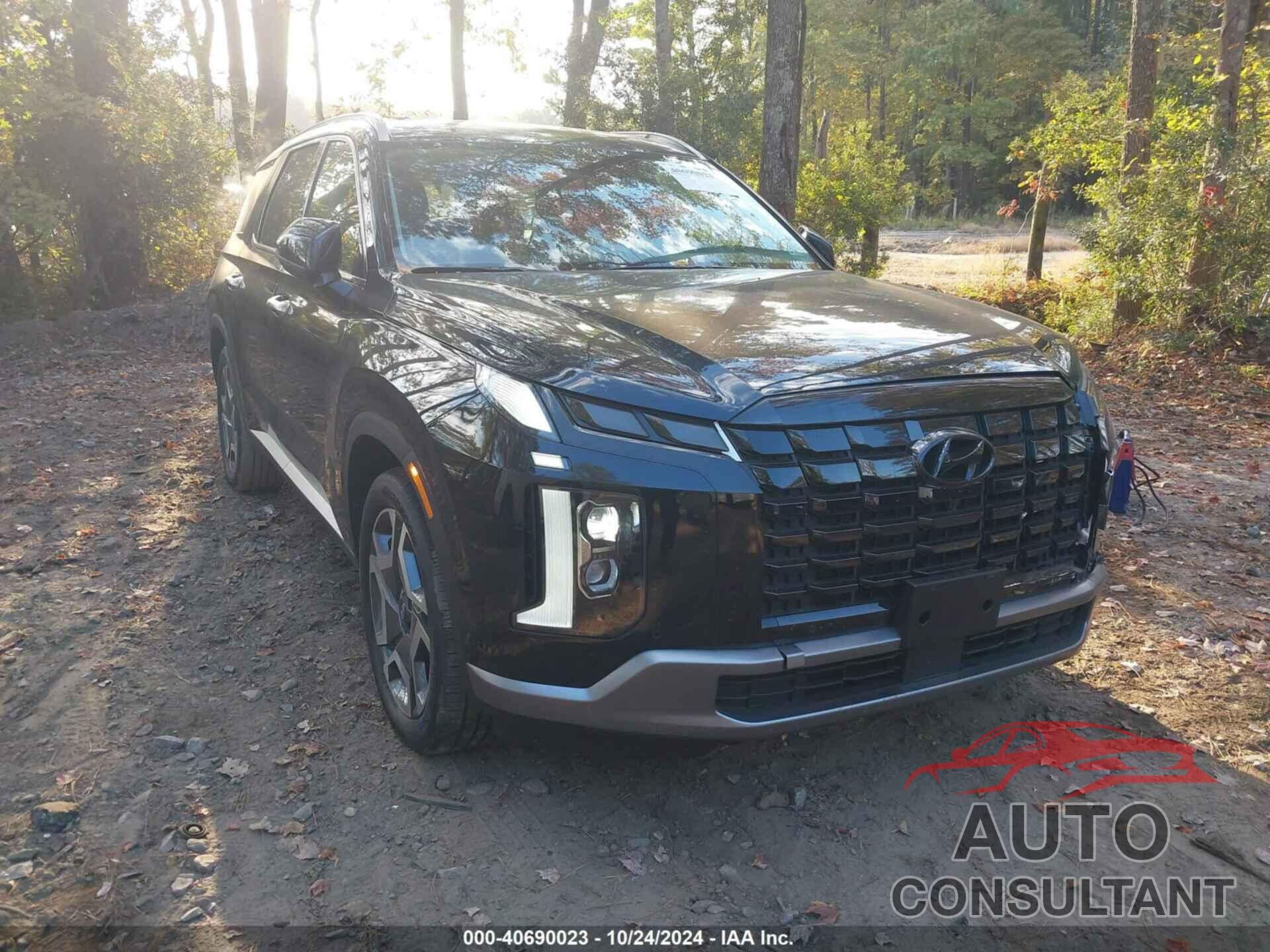 HYUNDAI PALISADE 2024 - KM8R44GE2RU753759