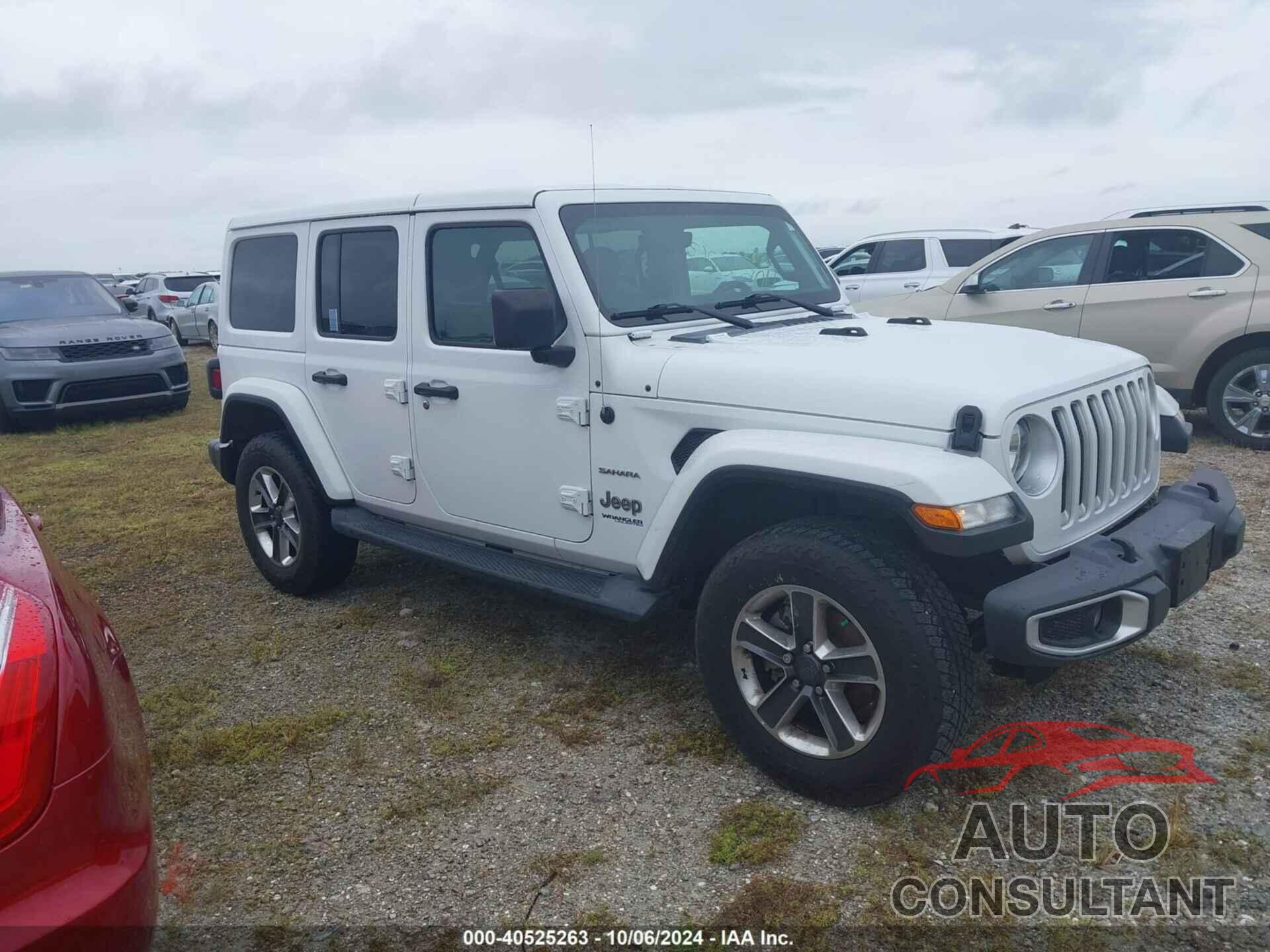 JEEP WRANGLER UNLIMITED 2019 - 1C4HJXEG3KW534415