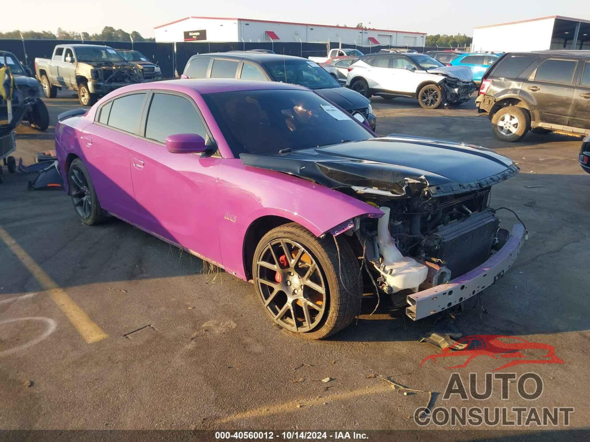 DODGE CHARGER 2020 - 2C3CDXGJ3LH181298